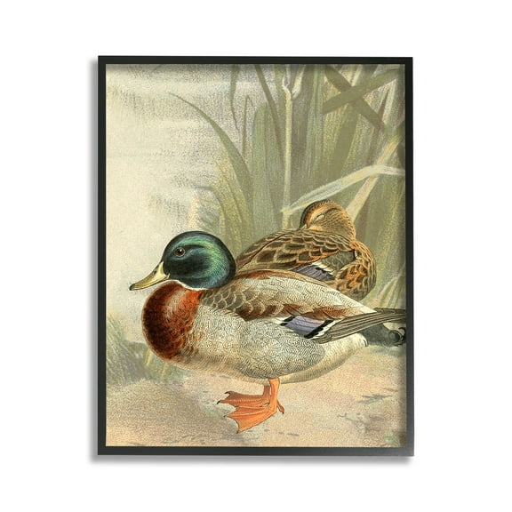 Stupell Industries Pond Ducks Relaxing Animals & Insects Painting Black Framed Art Print Wall Art, 11 x 14