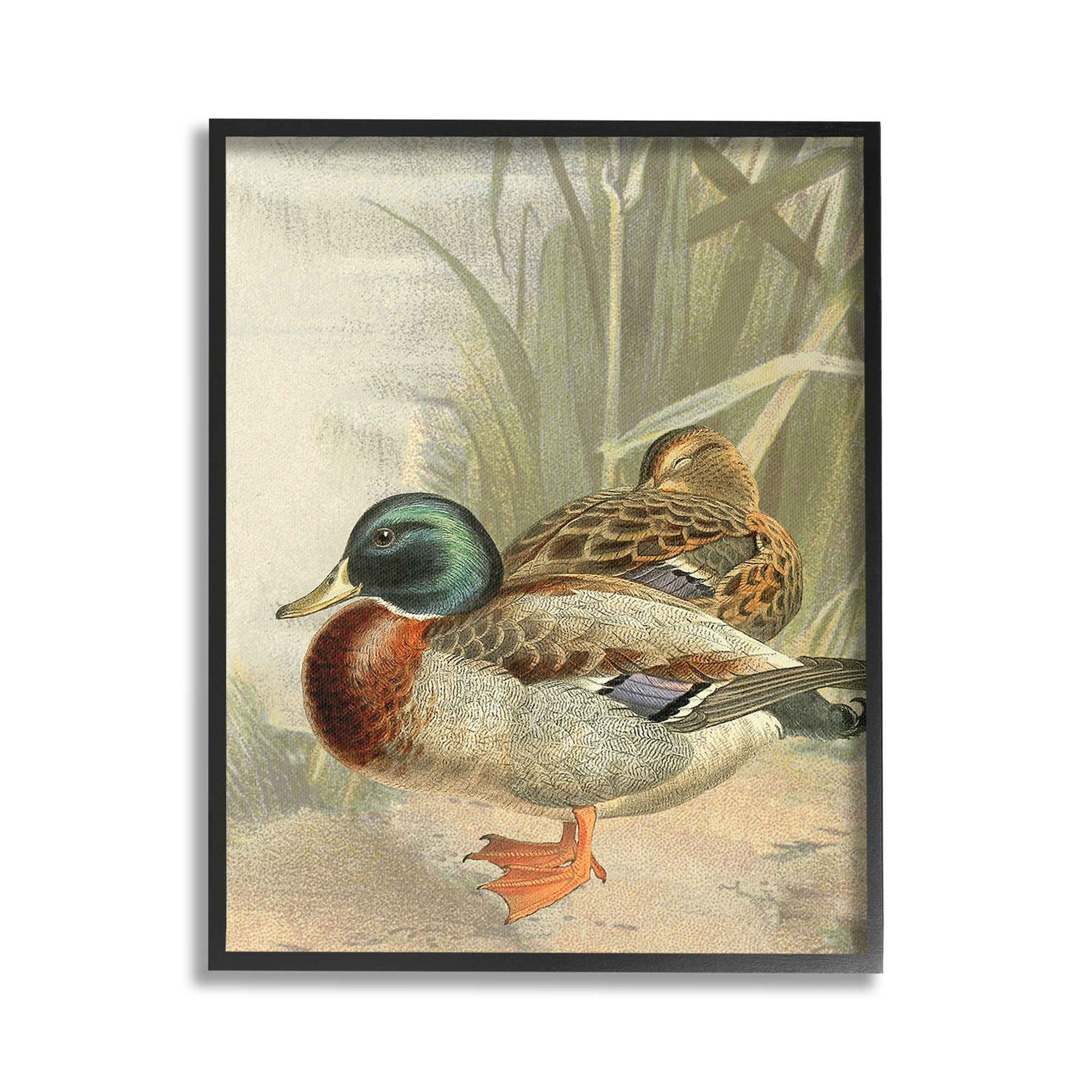 Stupell Industries Pond Ducks Relaxing Animals & Insects Painting Black Framed Art Print Wall Art, 24 x 30