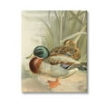 thumbnail image 1 of Stupell Industries Pond Ducks Relaxing Animals & Insects Painting Gallery Wrapped Canvas Art Print Wall Art, 24 x 30, 1 of 8