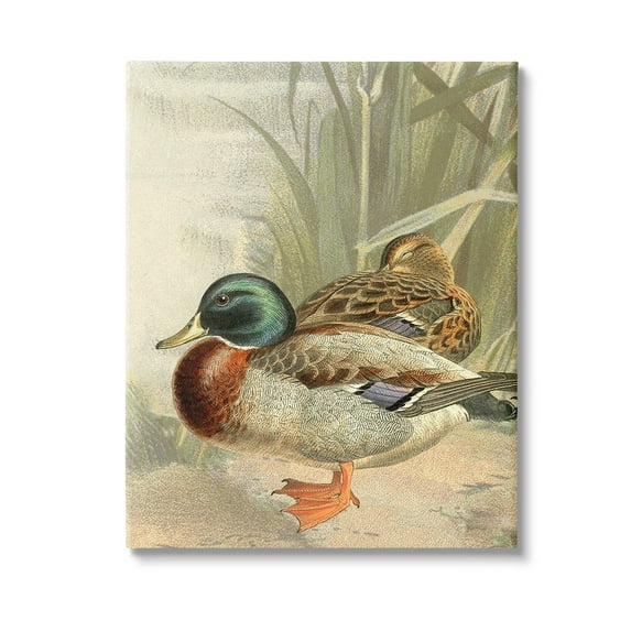 Stupell Industries Pond Ducks Relaxing Animals & Insects Painting Gallery Wrapped Canvas Art Print Wall Art, 24 x 30