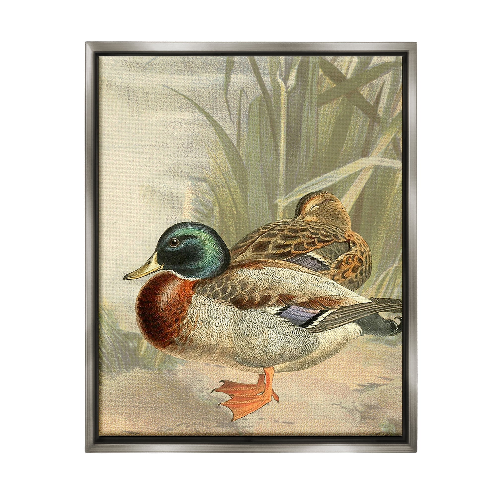 Stupell Industries Pond Ducks Relaxing Animals & Insects Painting Gray Floater Framed Canvas Art Print Wall Art, 17 x 21