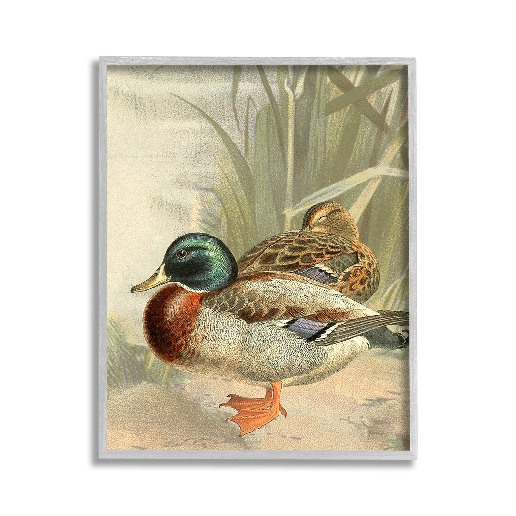 Stupell Industries Pond Ducks Relaxing Animals & Insects Painting Gray Framed Art Print Wall Art, 11 x 14