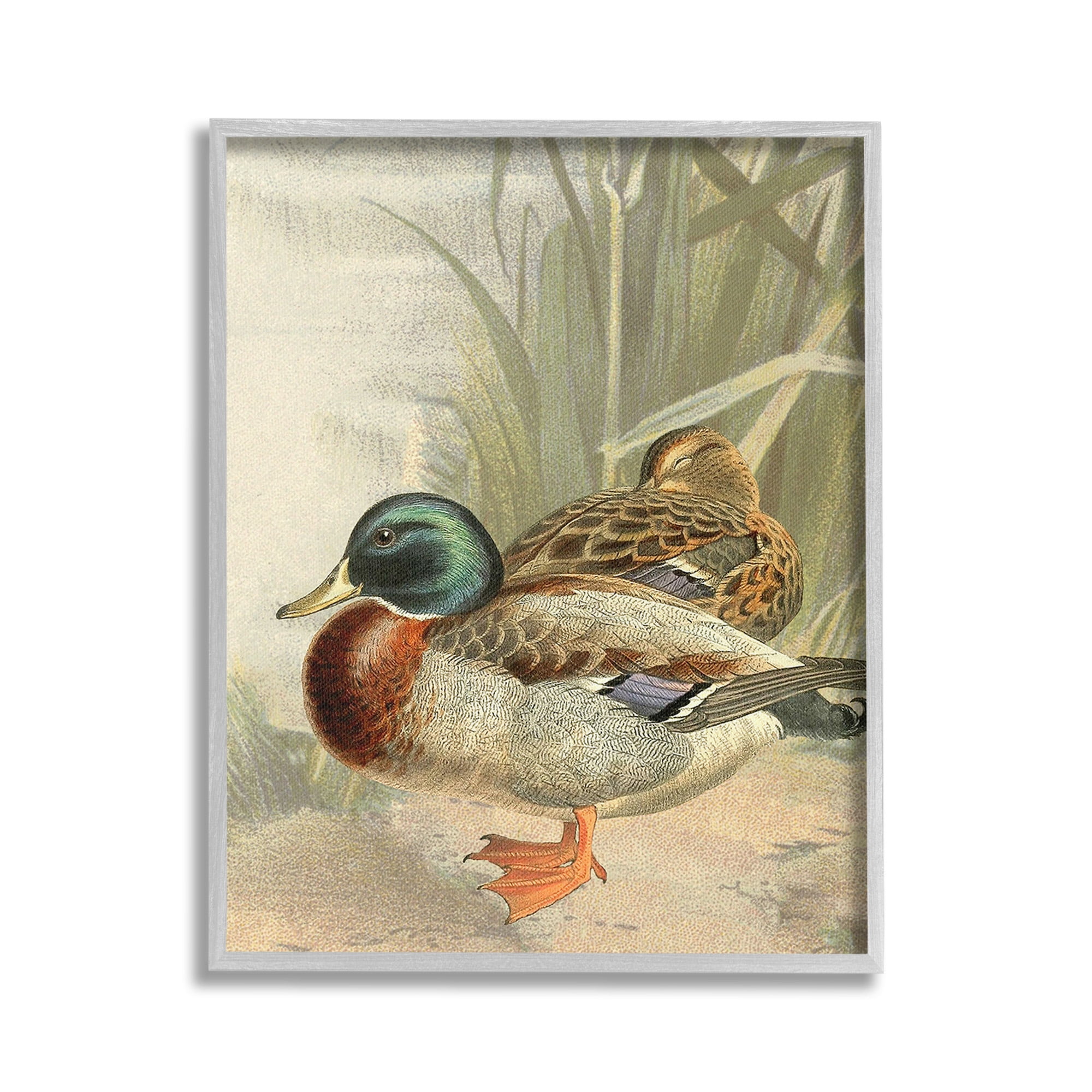 Stupell Industries Pond Ducks Relaxing Animals & Insects Painting Gray Framed Art Print Wall Art, 16 x 20