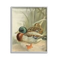 thumbnail image 1 of Stupell Industries Pond Ducks Relaxing Animals & Insects Painting Gray Framed Art Print Wall Art, 16 x 20, 1 of 9
