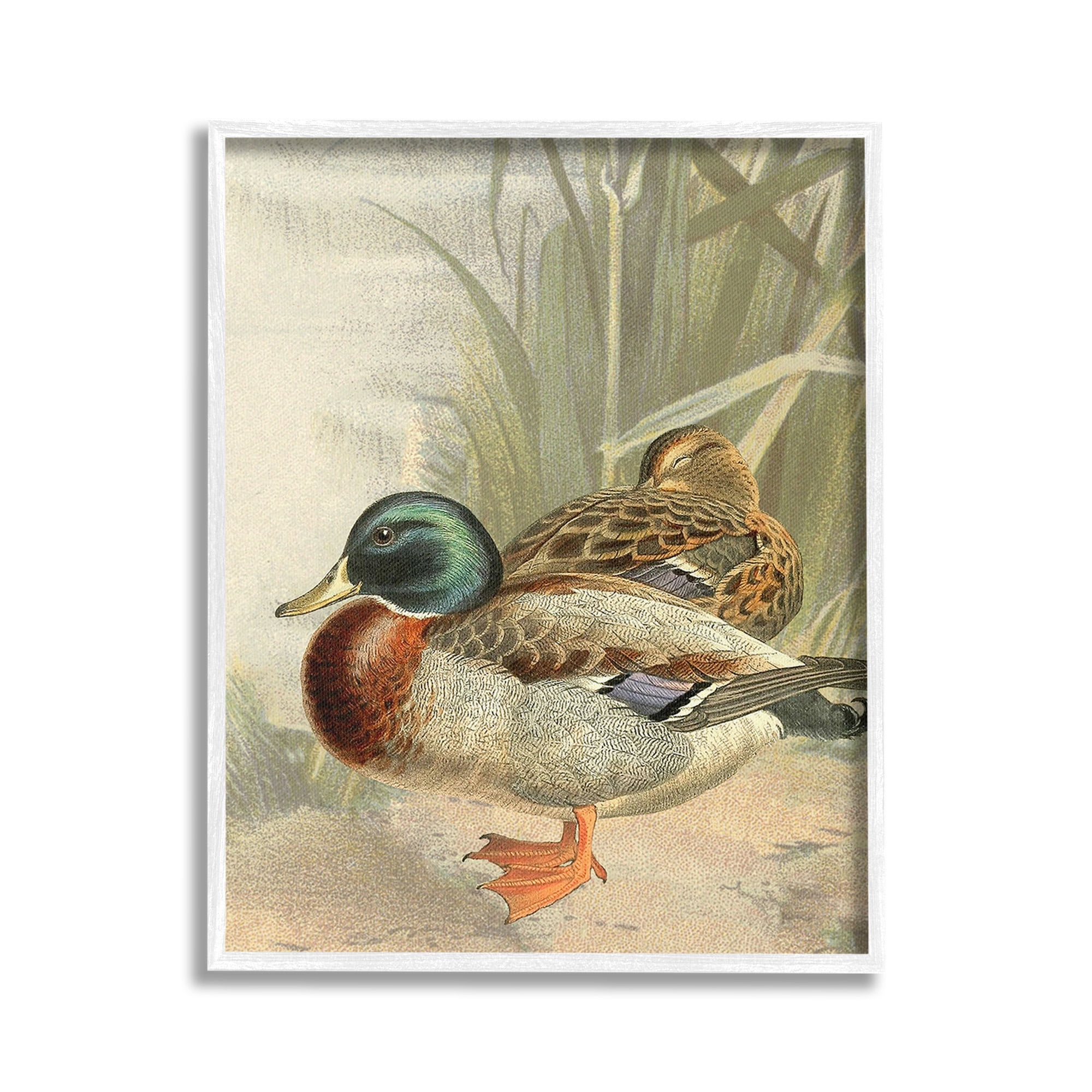 Stupell Industries Pond Ducks Relaxing Animals & Insects Painting White Framed Art Print Wall Art, 16 x 20