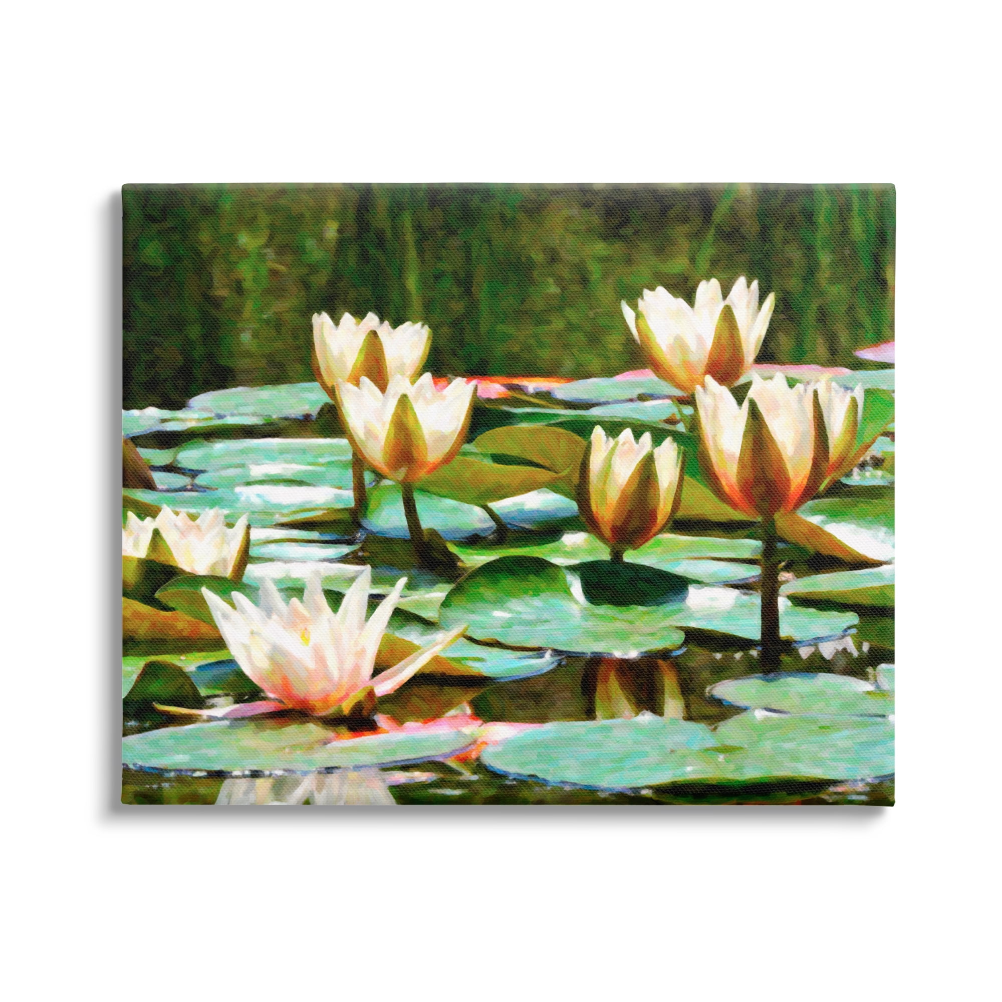 Stupell Industries Pond Lilies Blooming Botanical & Floral Painting Gallery Wrapped Canvas Print Wall Art, 48 x 36