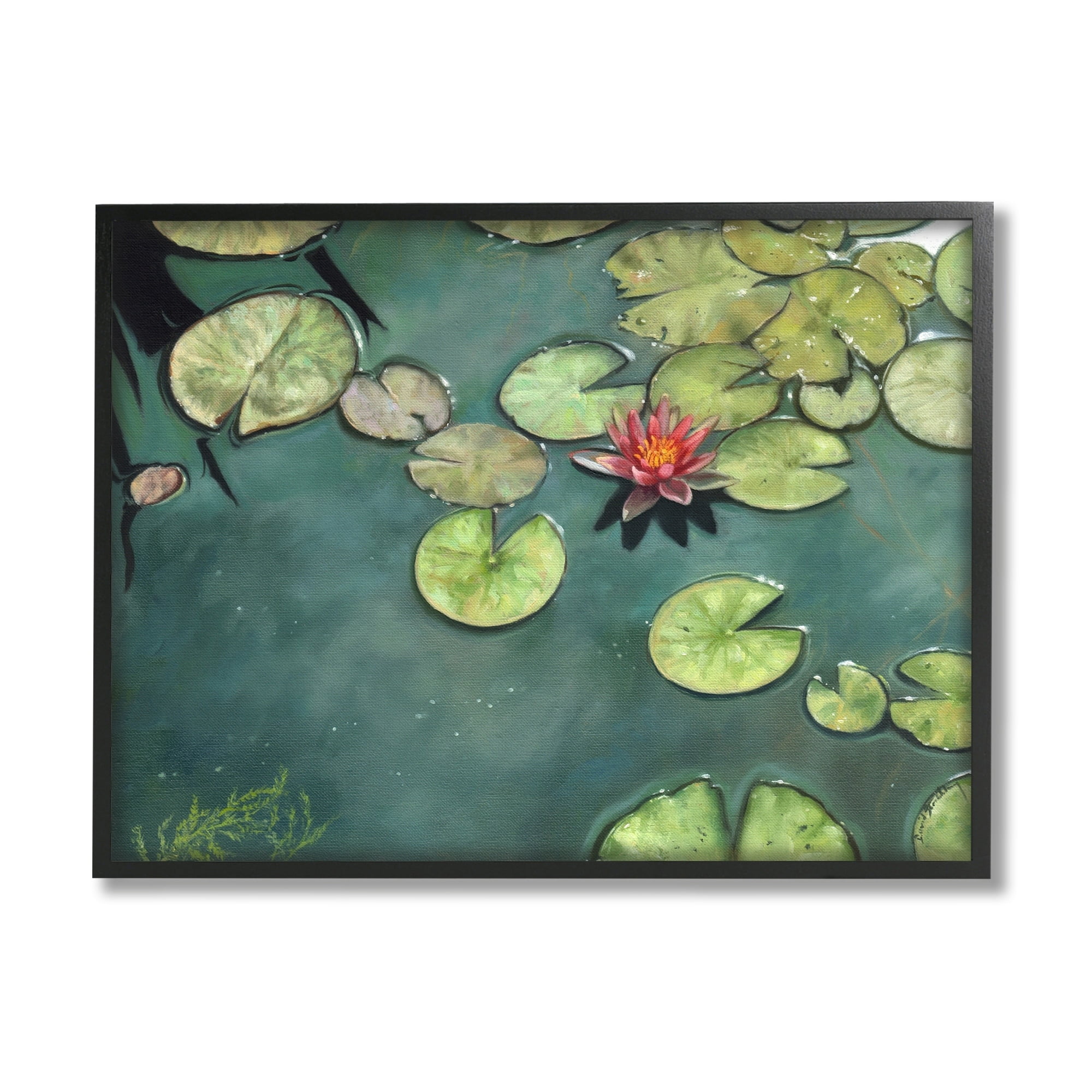 Stupell Industries Pond Lily Lotus Blossom Floating Peaceful Botanicals Painting Black Framed Art Print Wall Art, Design by David Stribbling