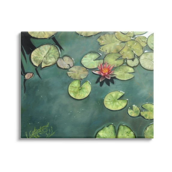 Stupell Industries Pond Lily Lotus Blossom Floating Peaceful Botanicals Painting Gallery Wrapped Canvas Print Wall Art, Design by David Stribbling