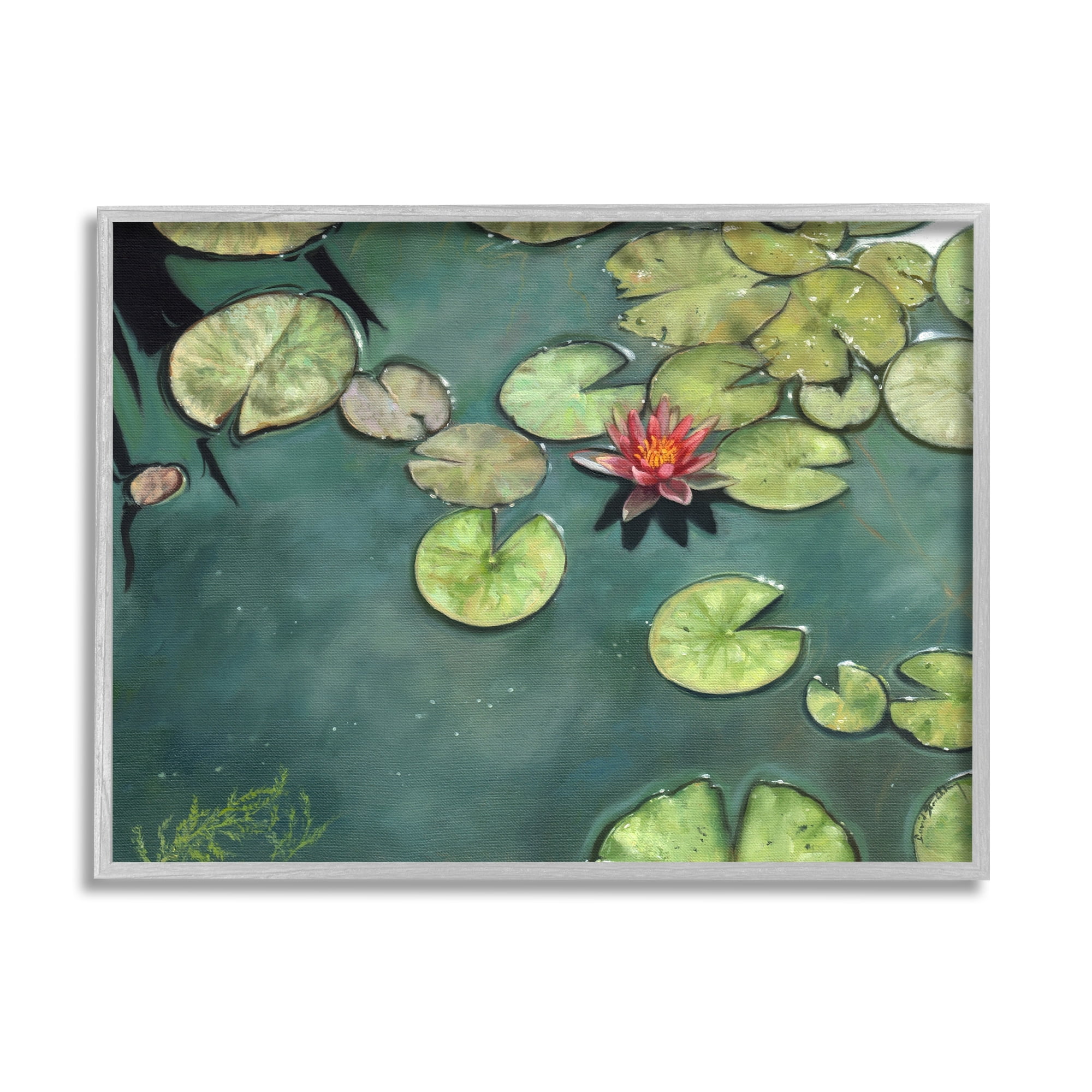 Pond Lily Lotus Blossom Botanical Canvas Print with Gray Frame