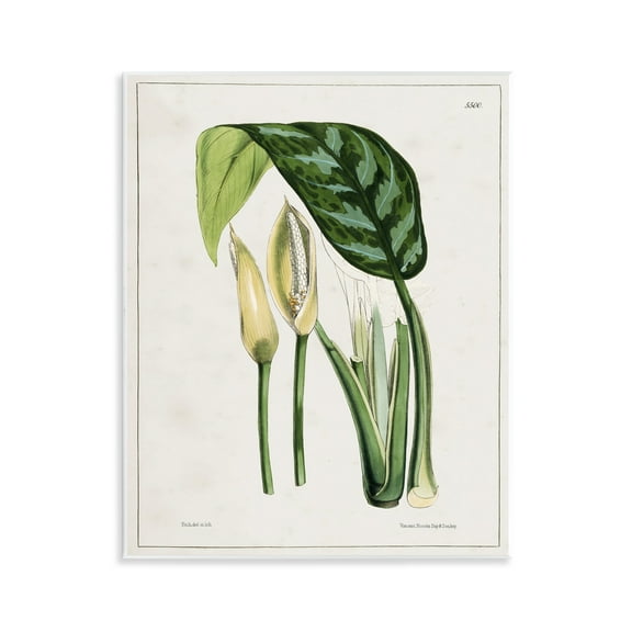 Stupell Industries Pond Plant Study Plants & Flowers Painting Unframed Art Print Wall Art, 11 x 14