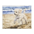 thumbnail image 1 of Stupell Industries Tropical Poodle's Journey on Beach Canvas Art, 20 x 16, by Svetlana Aleynikova, 1 of 8