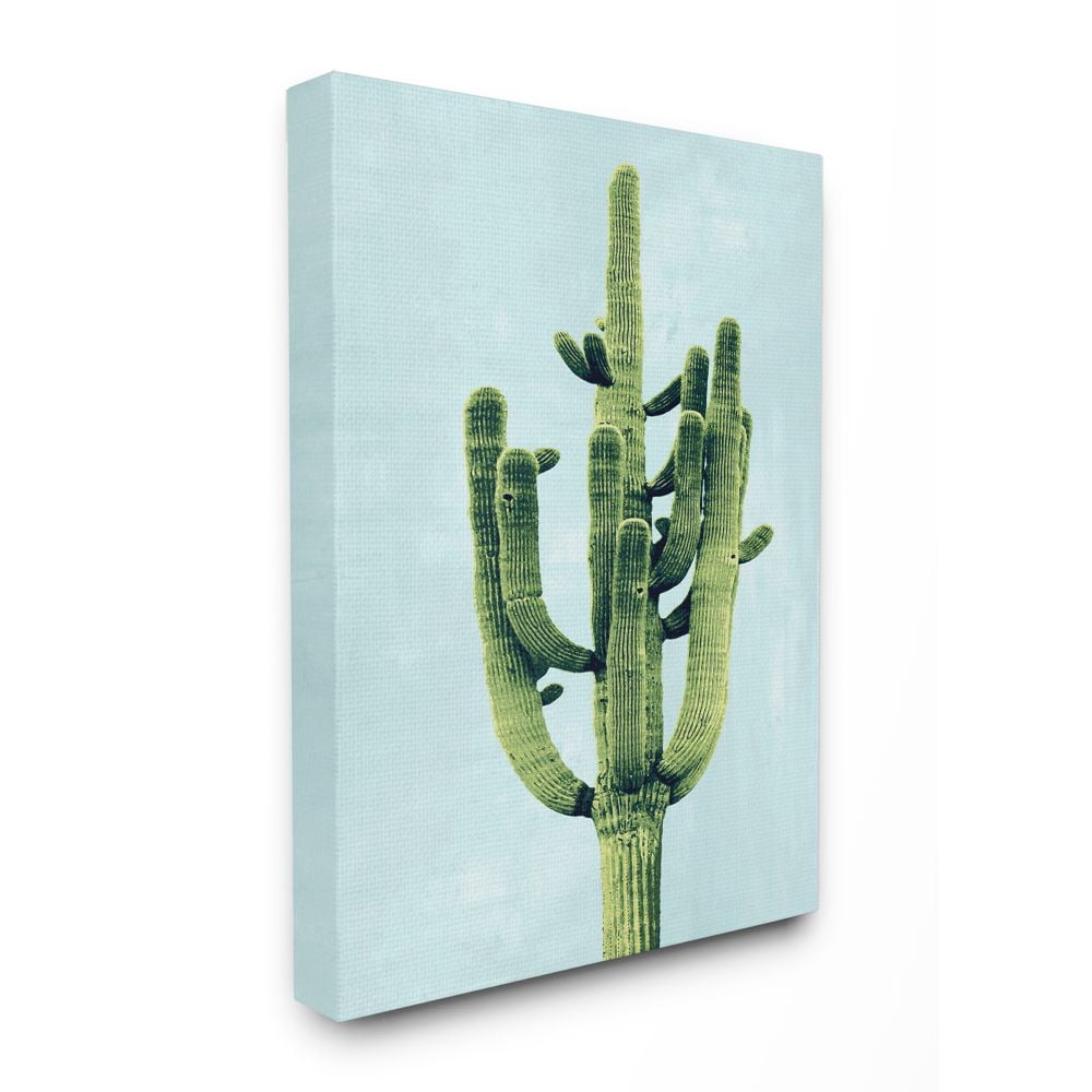 Stupell Industries Pop Desert Cactus Plant Vintage Succulent Blue Green Canvas Wall Art Design by Mia Jensen, 16" x 20"