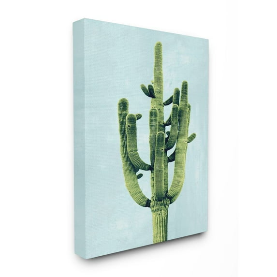 Stupell Industries Pop Desert Cactus Plant Vintage Succulent Blue Green Canvas Wall Art Design by Mia Jensen, 24" x 30"