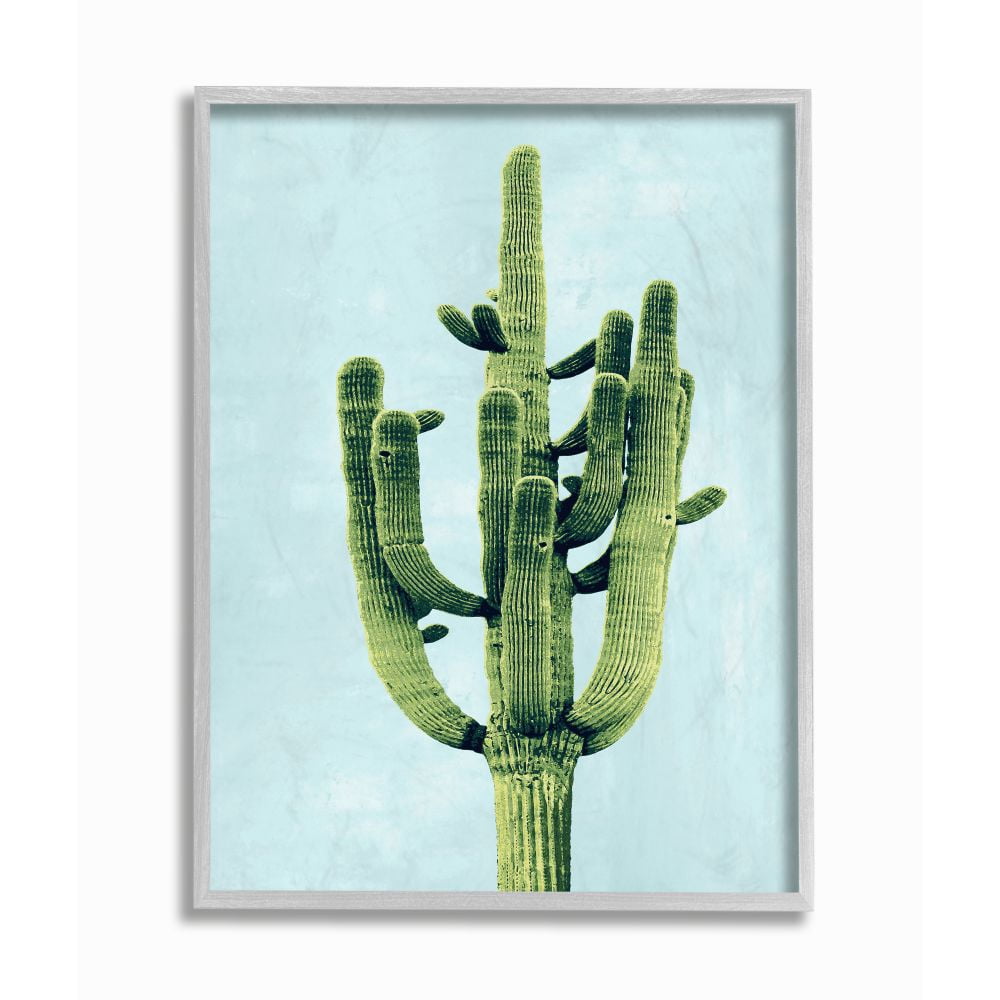 Stupell Industries Pop Desert Cactus Plant Vintage Succulent Blue Green Framed Wall Art Design by Mia Jensen, 11" x 14", Gray Framed