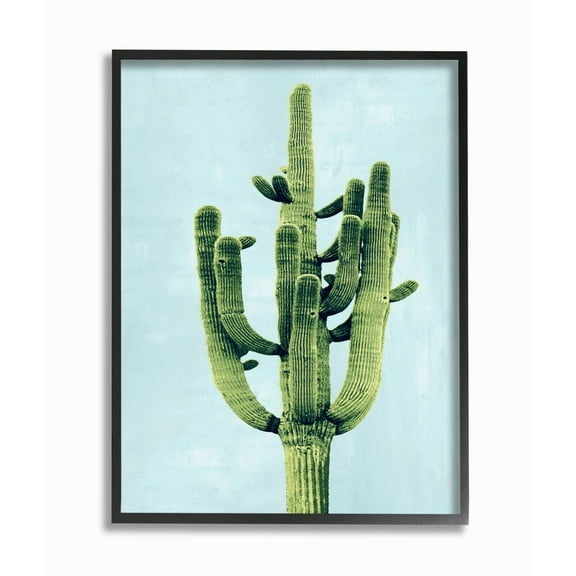Stupell Industries Pop Desert Cactus Plant Vintage Succulent Blue Green Framed Wall Art Design by Mia Jensen, 16" x 20", Black Framed