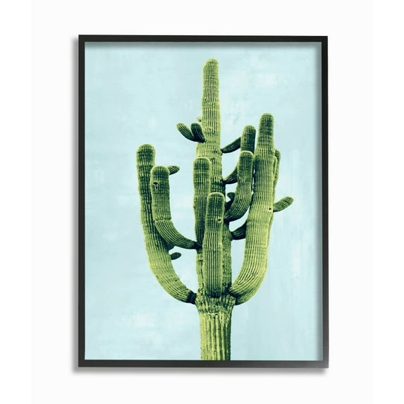 Stupell Industries Pop Desert Cactus Plant Vintage Succulent Blue Green Framed Wall Art Design by Mia Jensen, 16" x 20", Black Framed