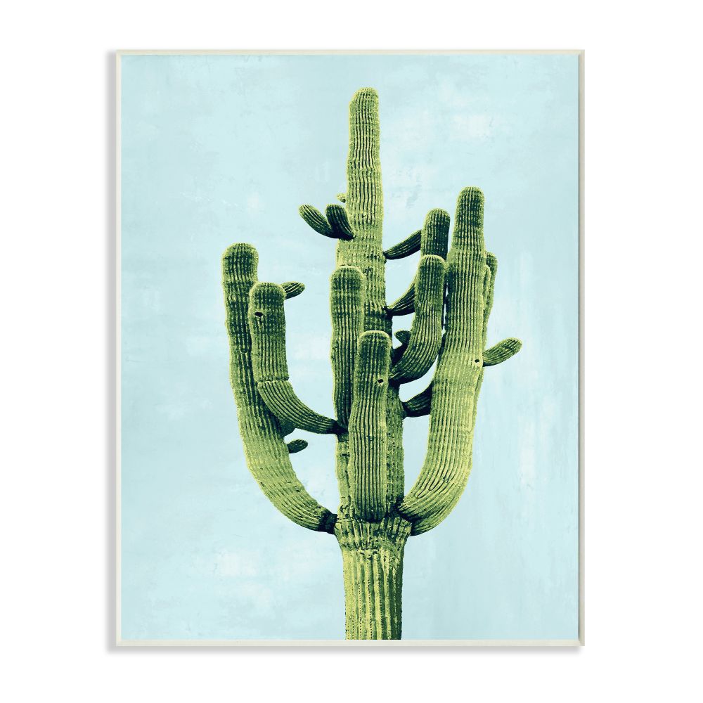 Stupell Industries Pop Desert Cactus Plant Vintage Succulent Blue Green Graphic Art Unframed Art Print Wall Art, 13x19, by Mia Jensen