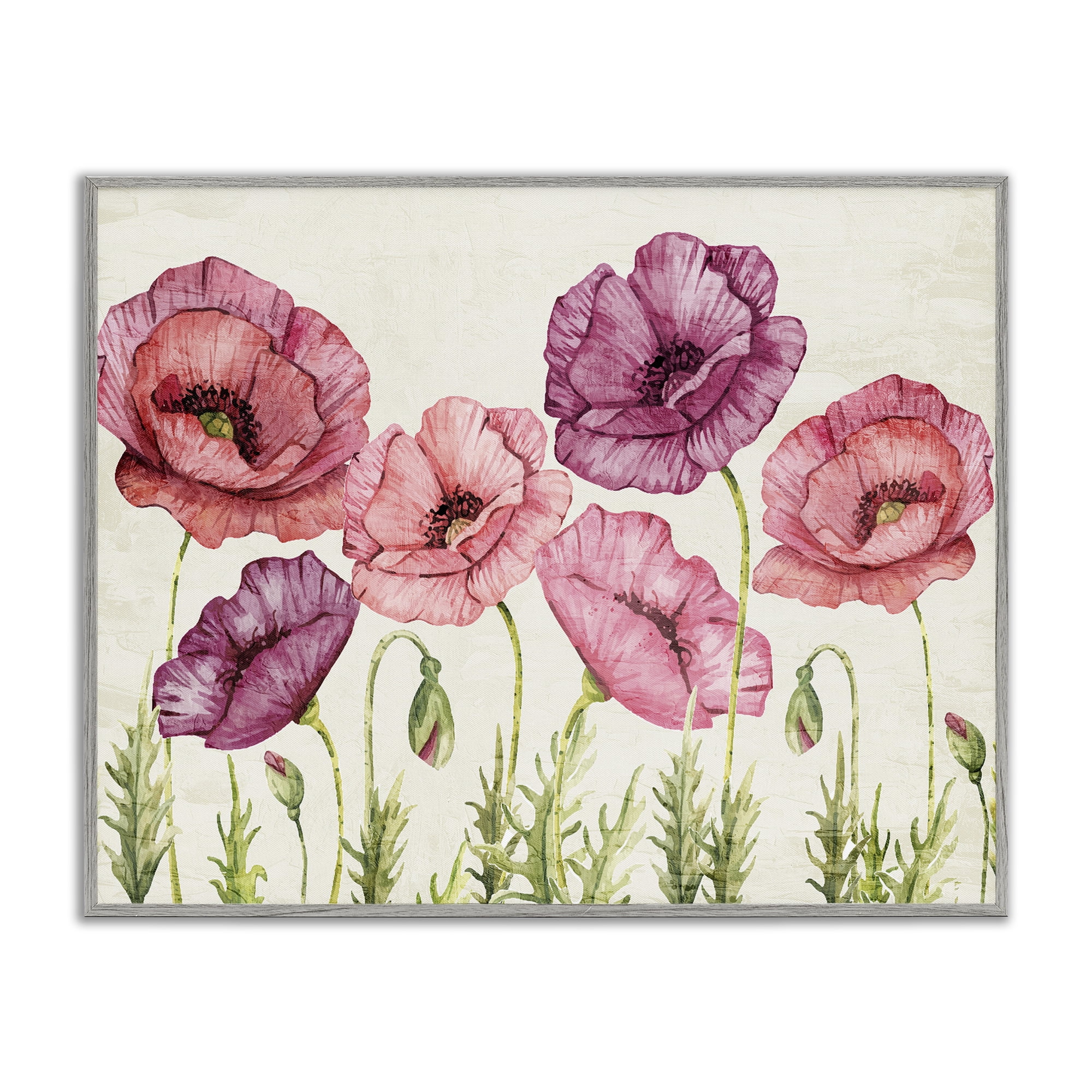 Stupell Industries Poppy Days Vintage Blooms Gray Framed Giclee Art, design by Kim Allen