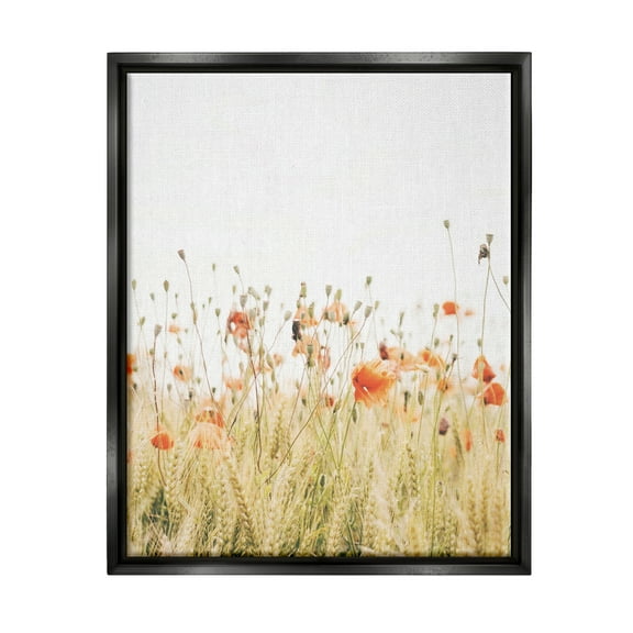 Stupell Industries Poppy Field Photography Botanical & Floral Photography Black Floater Framed Canvas Art Print Wall Art, 17 x 21