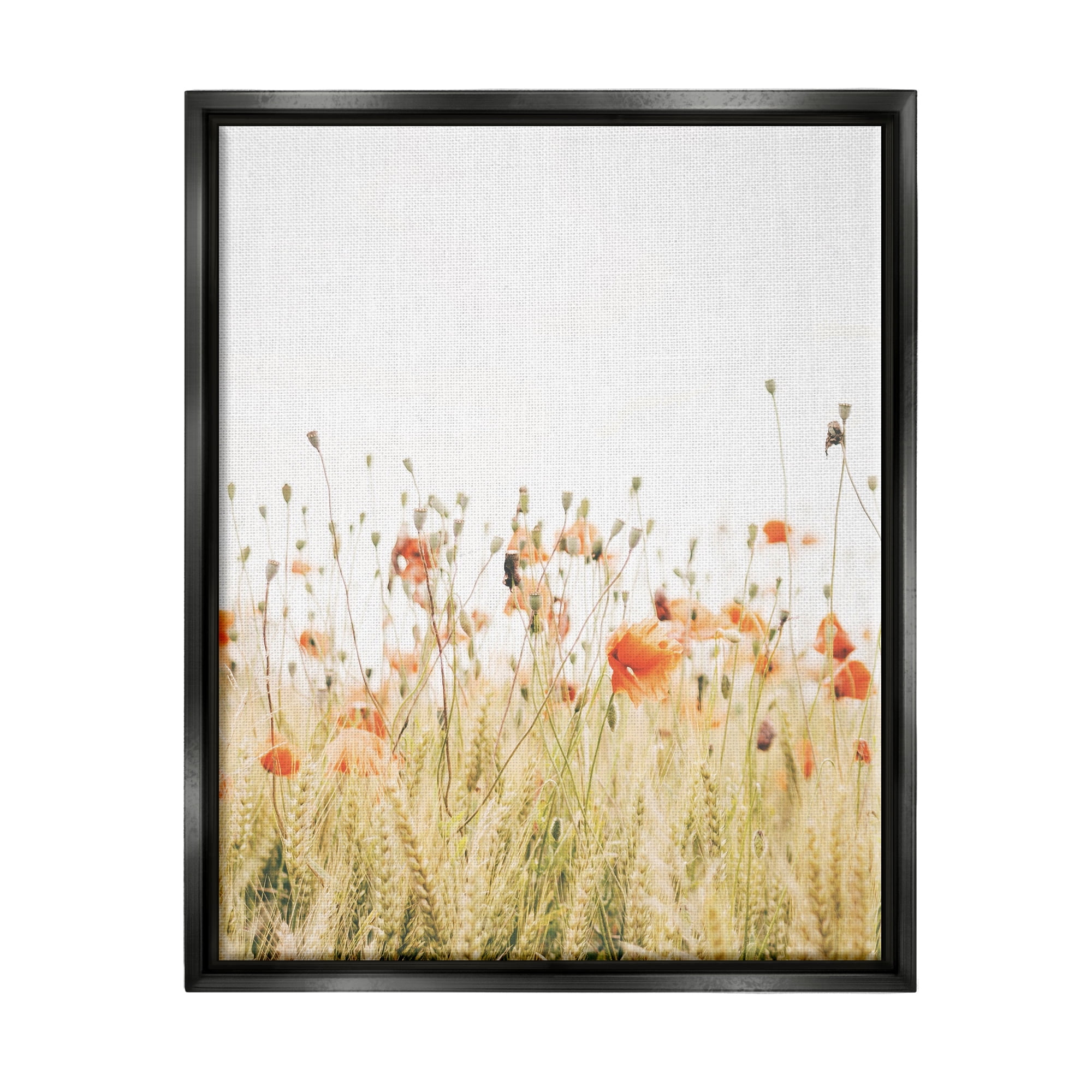 Stupell Industries Poppy Field Photography Botanical & Floral Photography Black Floater Framed Canvas Art Print Wall Art, 25 x 31