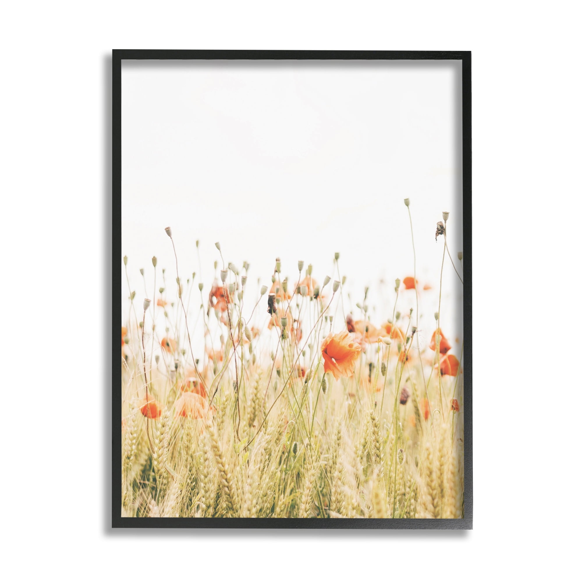Stupell Industries Poppy Field Photography Botanical & Floral Photography Black Framed Art Print Wall Art, 24 x 30