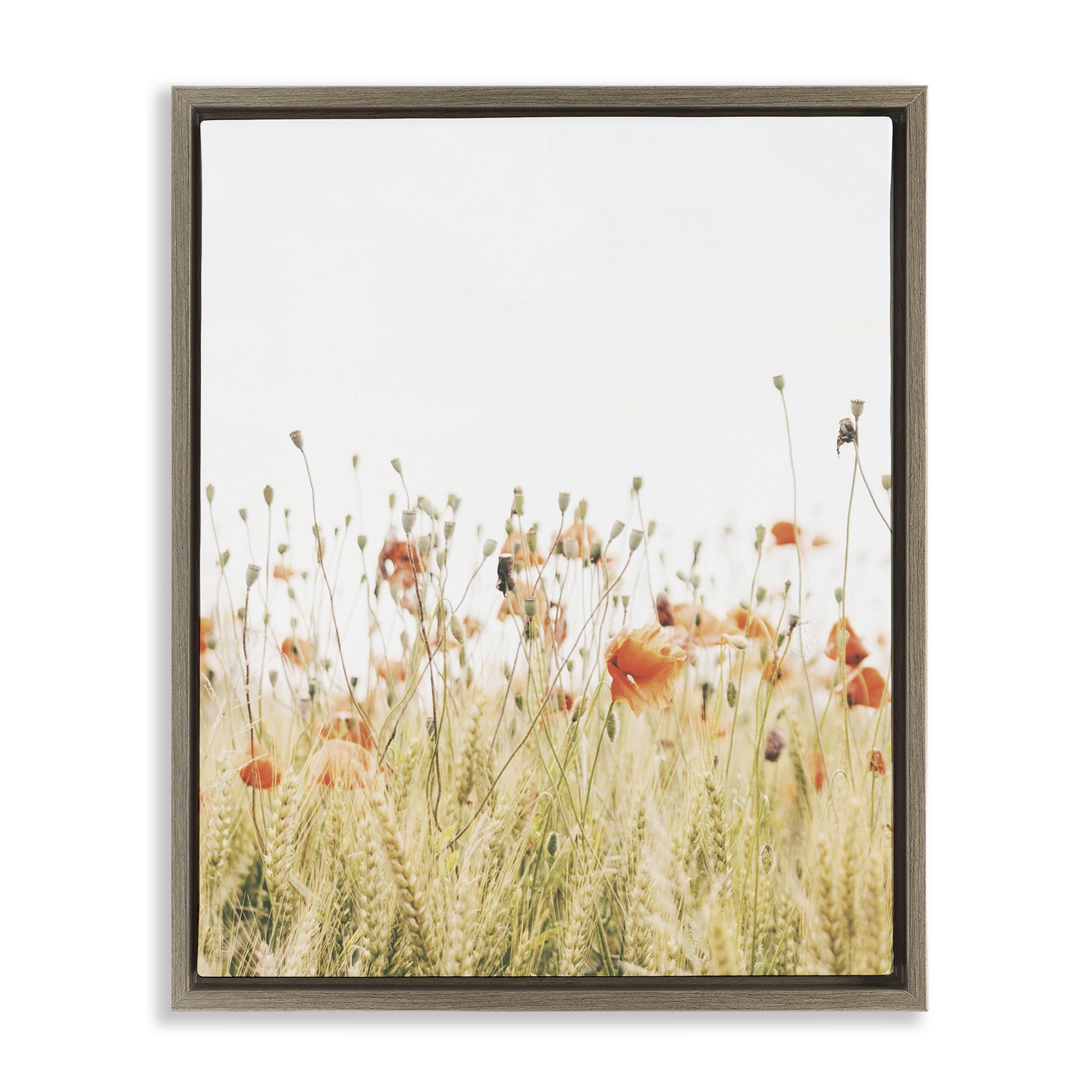 Stupell Industries Poppy Field Photography Botanical & Floral Photography Brown Floater Framed Canvas Art Print Wall Art, 17 x 21