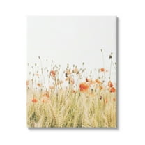Stupell Industries Poppy Field Photography Botanical & Floral Photography Gallery Wrapped Canvas Art Print Wall Art, 16 x 20