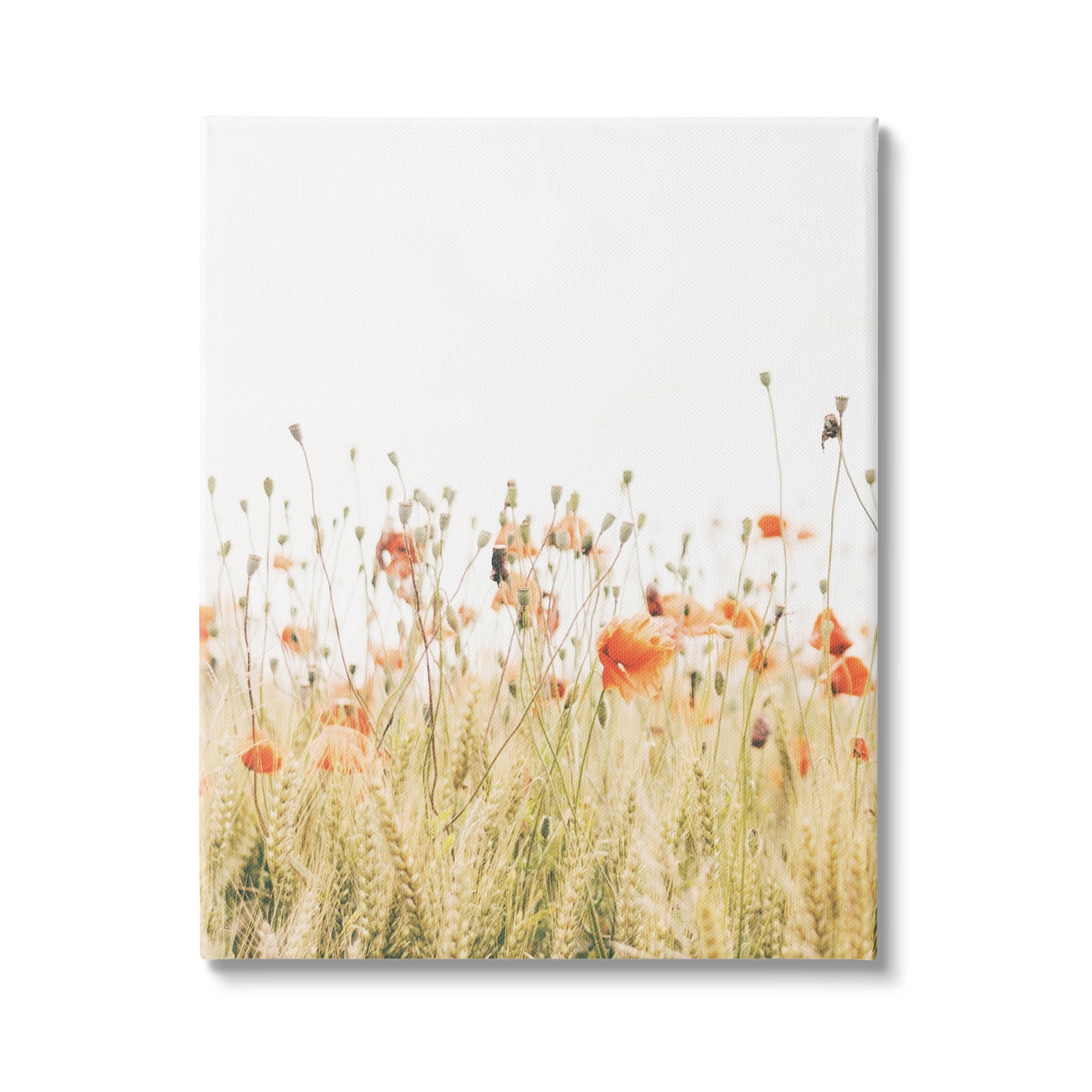 Stupell Industries Poppy Field Photography Botanical & Floral Photography Gallery Wrapped Canvas Art Print Wall Art, 24 x 30