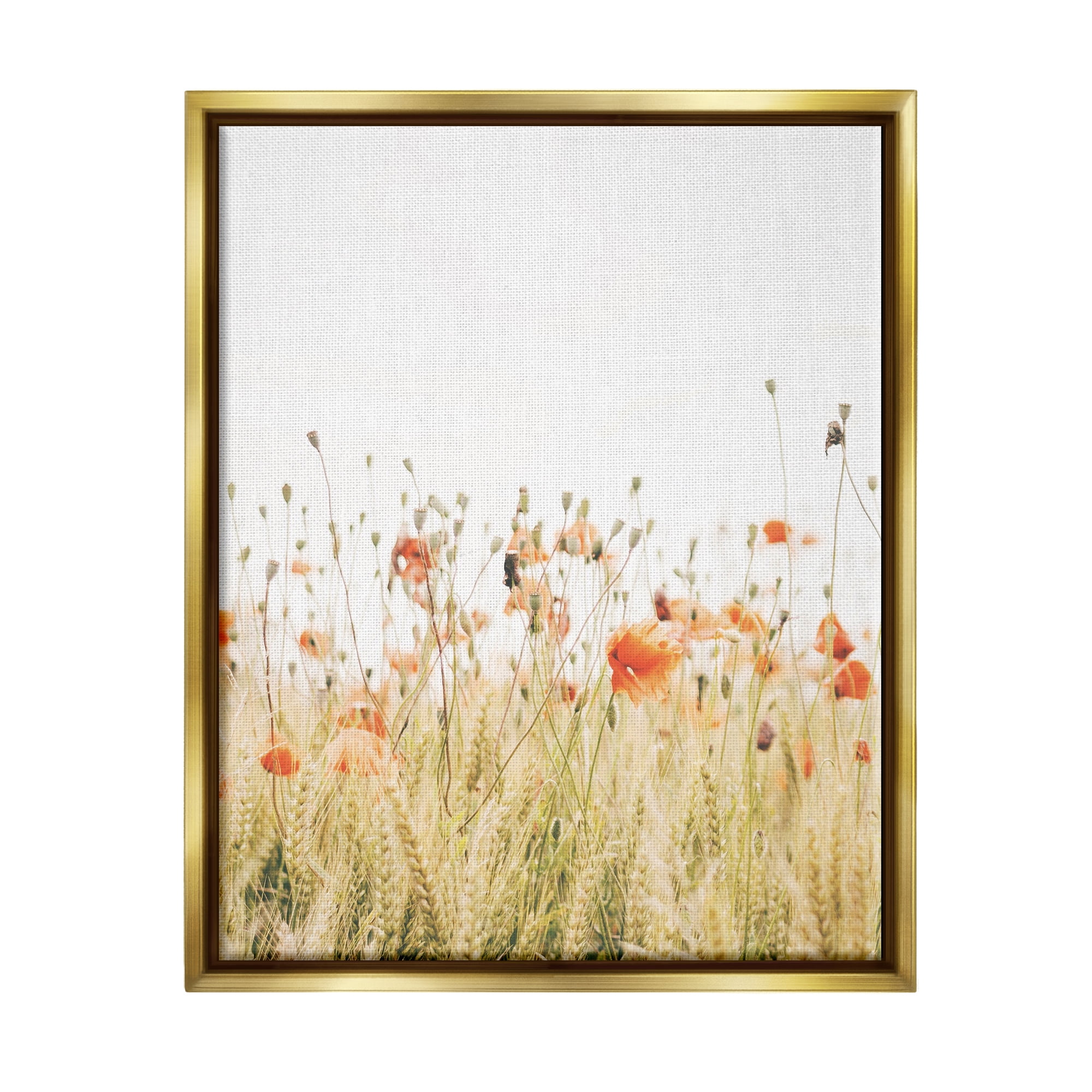 Stupell Industries Poppy Field Photography Botanical & Floral Photography Gold Floater Framed Canvas Art Print Wall Art, 25 x 31