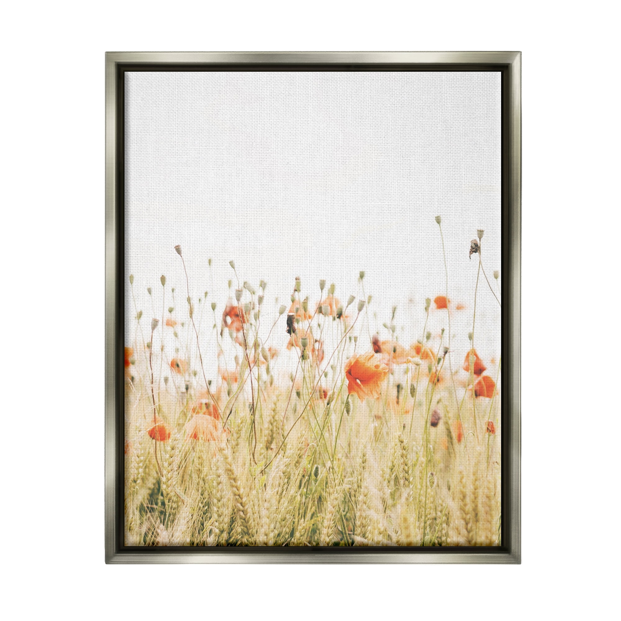 Gray Framed Botanical Poppy Field Canvas Print, 17 x 21
