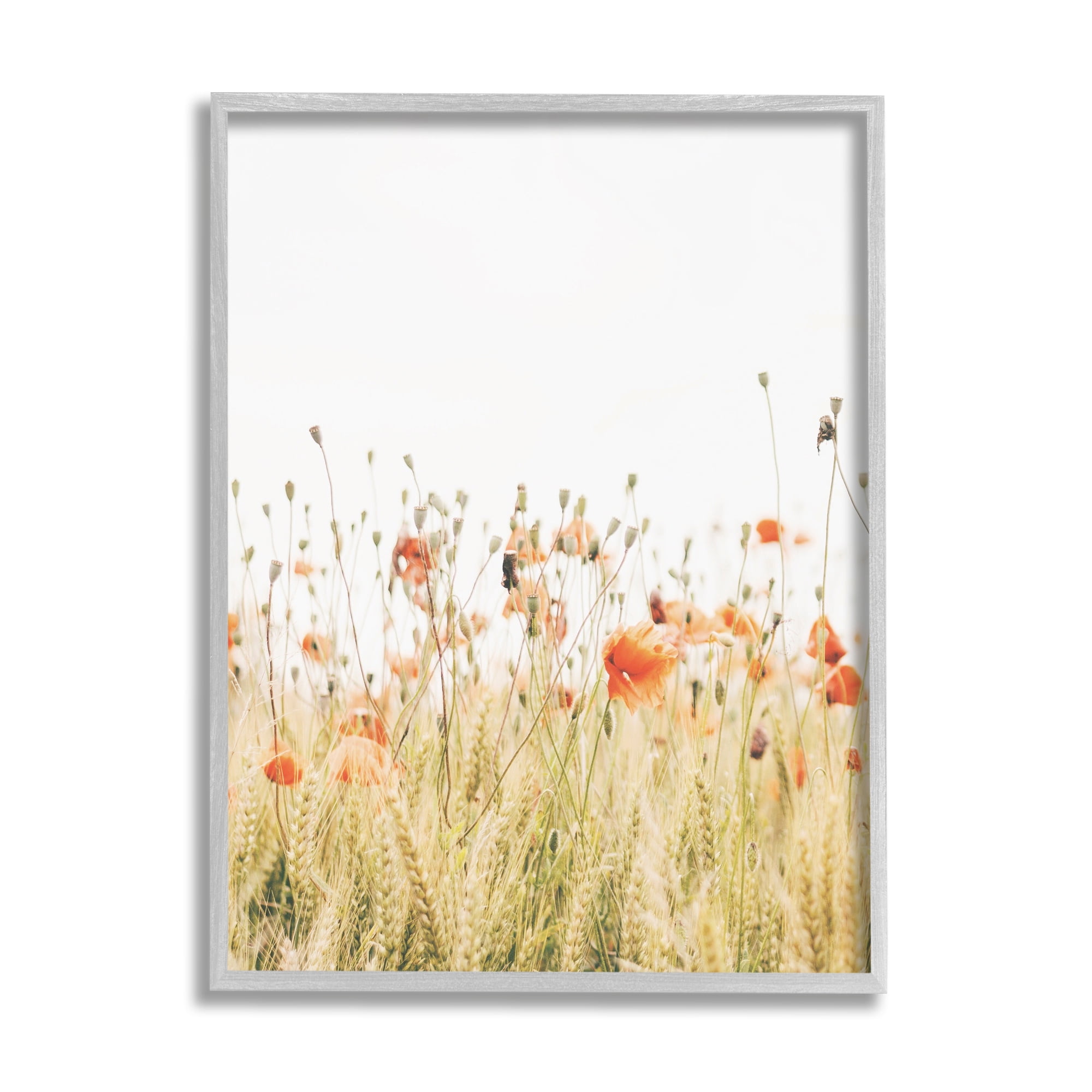 Stupell Industries Poppy Field Photography Botanical & Floral Photography Gray Framed Art Print Wall Art, 11 x 14