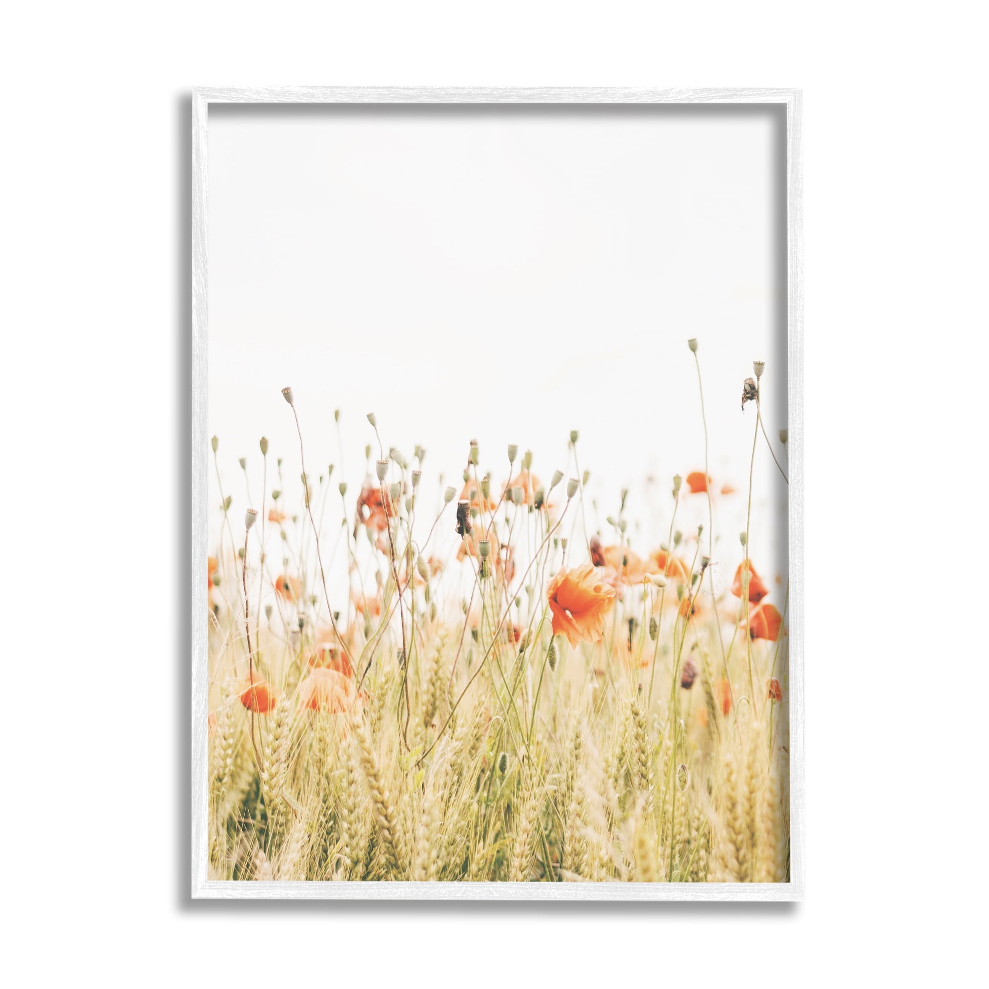 Stupell Industries Poppy Field Photography Botanical & Floral Photography White Framed Art Print Wall Art, 11 x 14