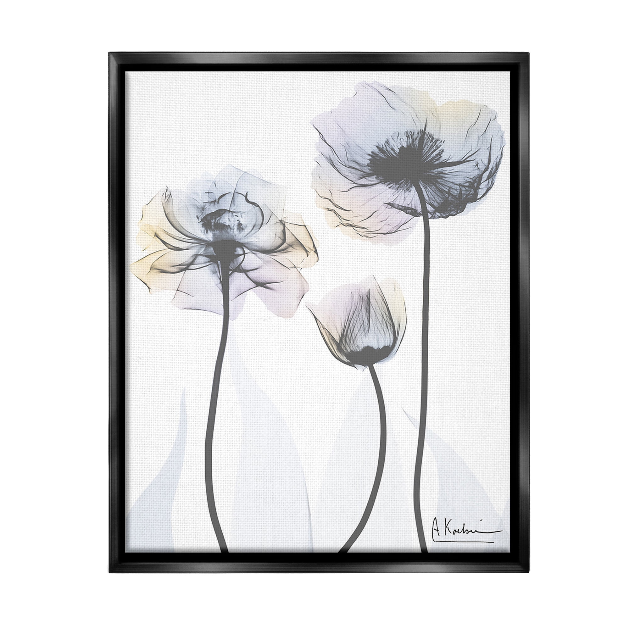 Stupell Industries Poppy Flower Trio Botanical & Floral Photography Black Floater Framed Canvas Art Print Wall Art, 25 x 31