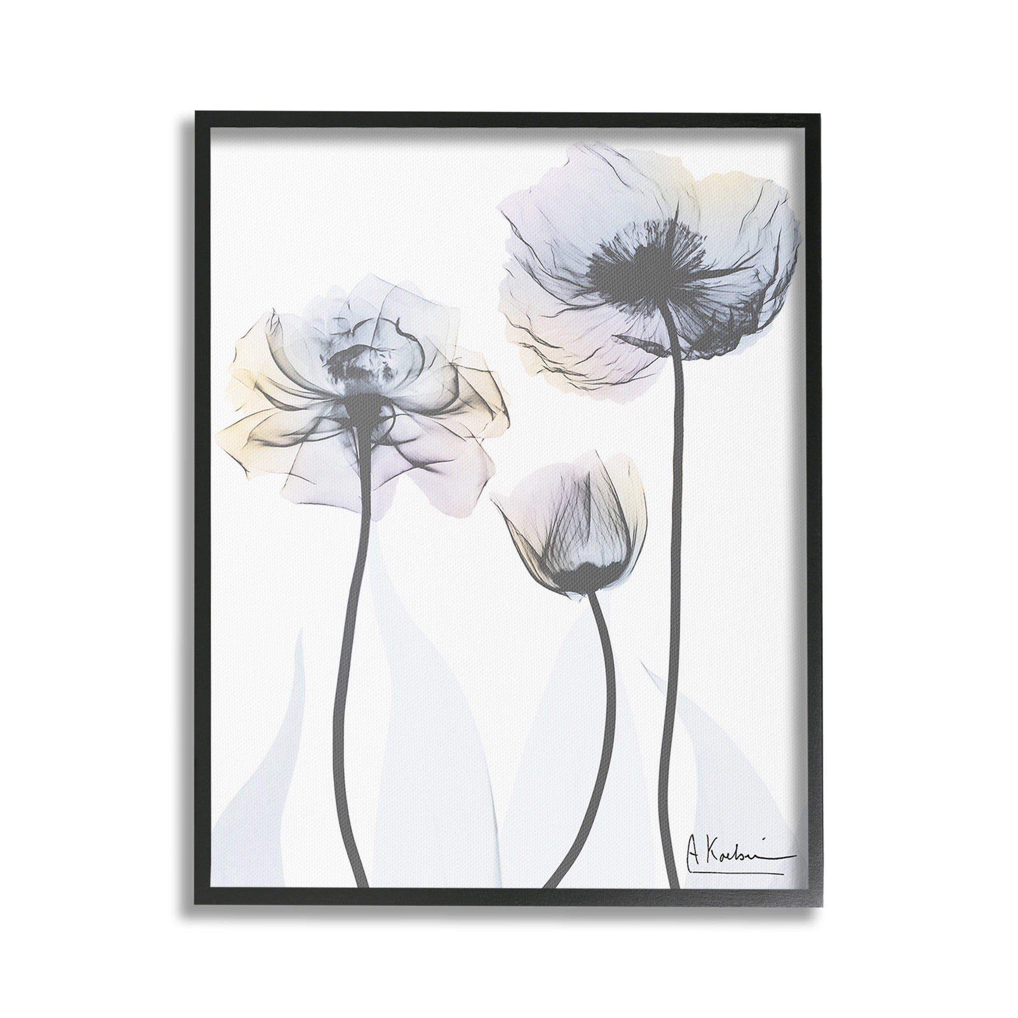 Stupell Industries Poppy Flower Trio Botanical & Floral Photography Black Framed Art Print Wall Art, 16 x 20