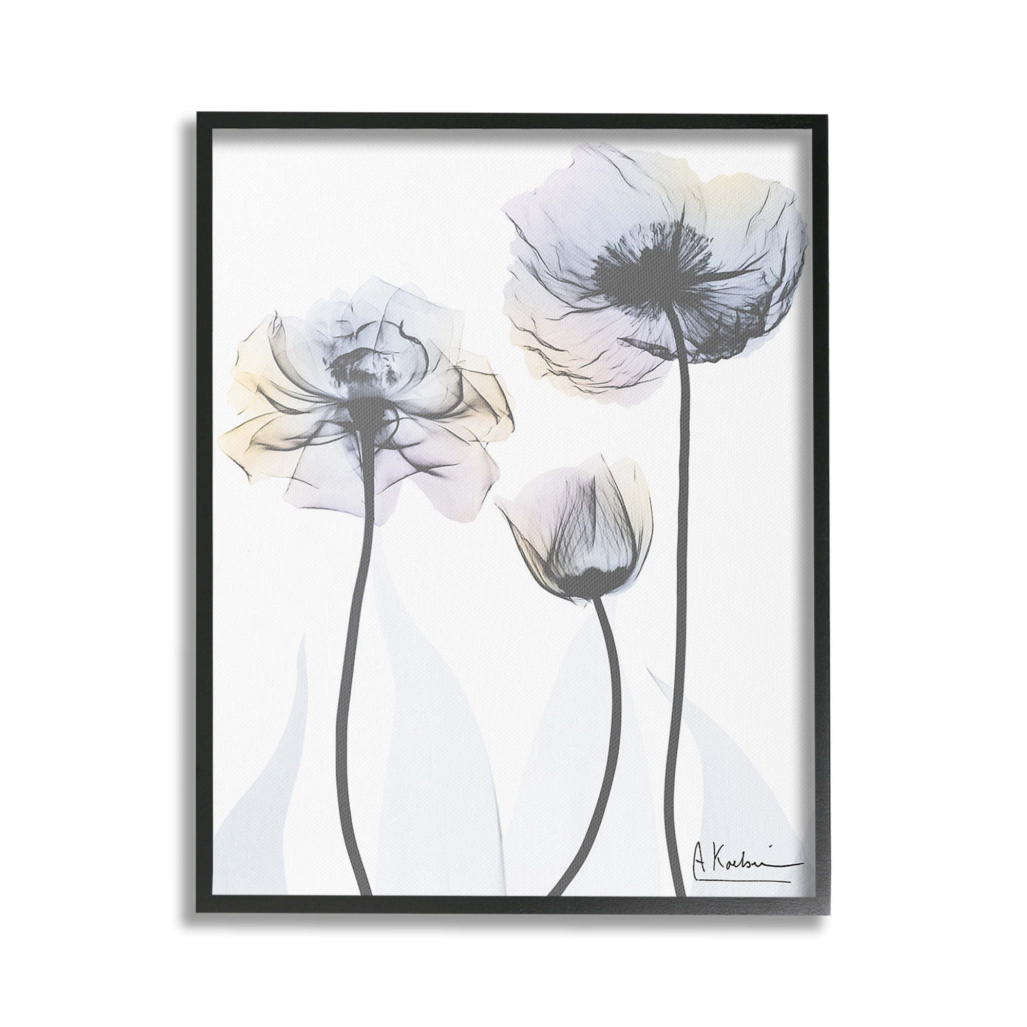 Stupell Industries Poppy Flower Trio Botanical & Floral Photography Black Framed Art Print Wall Art, 24 x 30