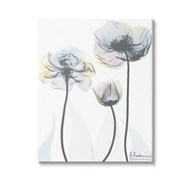 Stupell Industries Poppy Flower Trio Botanical & Floral Photography Gallery Wrapped Canvas Art Print Wall Art, 16 x 20
