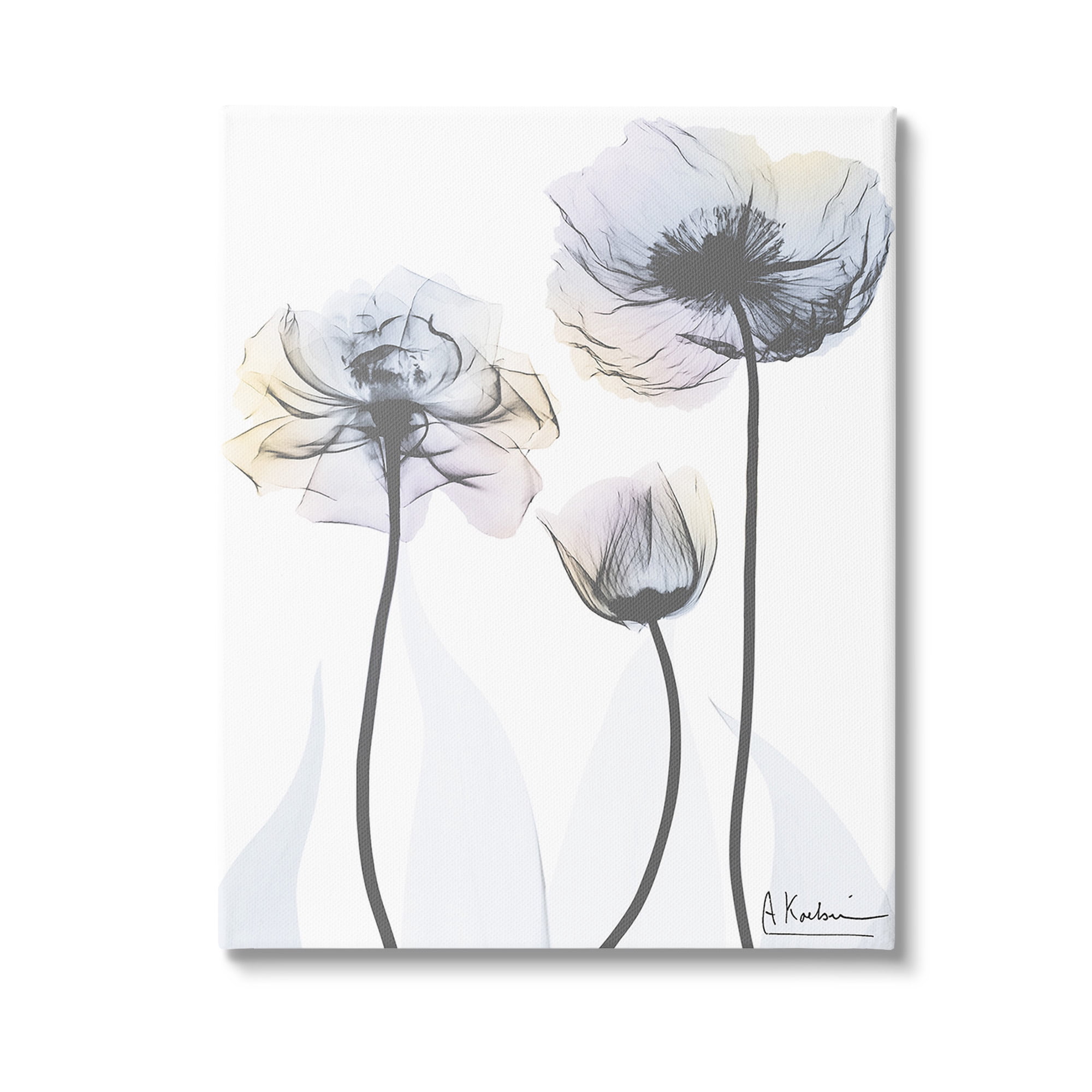 Stupell Industries Poppy Flower Trio Botanical & Floral Photography Gallery Wrapped Canvas Art Print Wall Art, 30 x 40