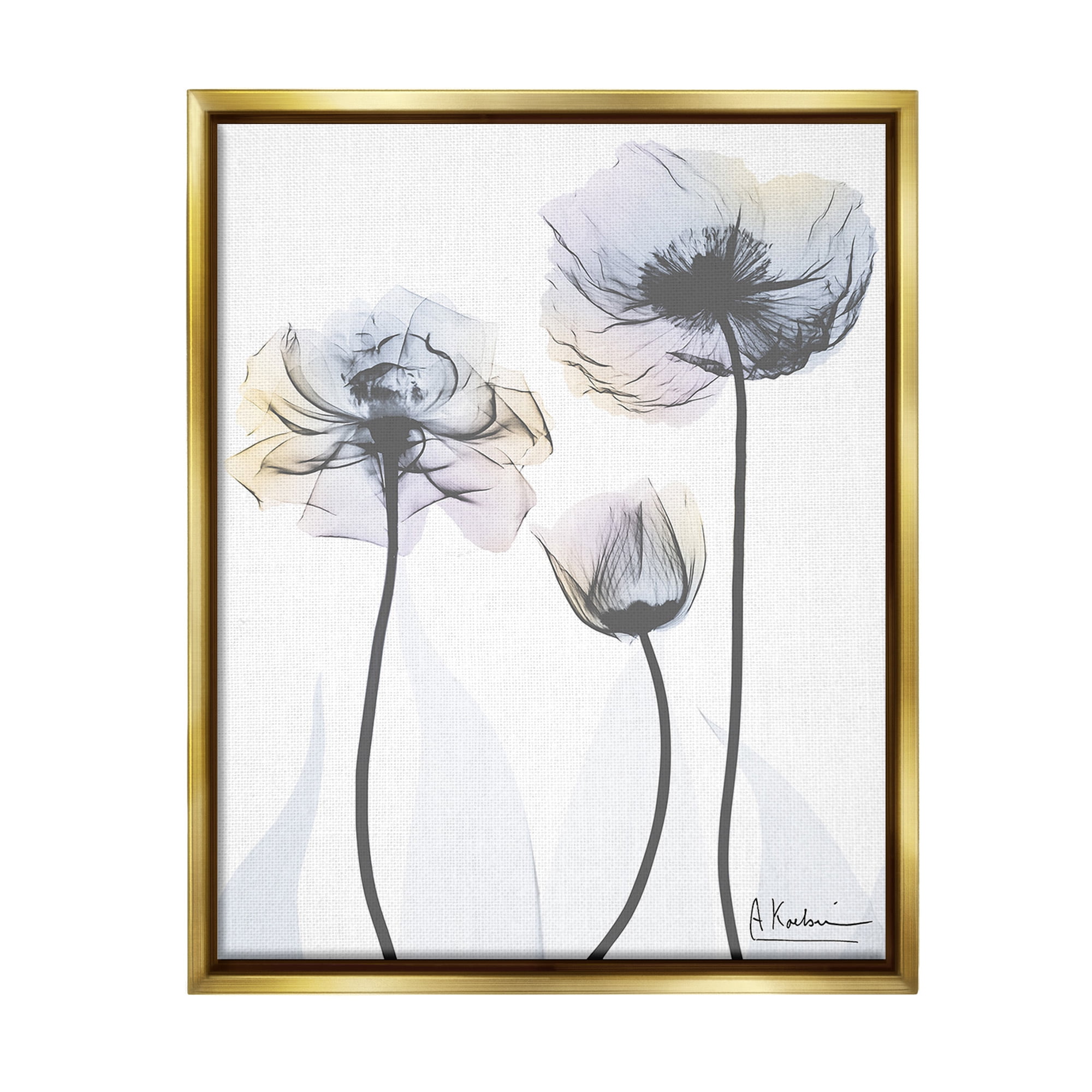 Stupell Industries Poppy Flower Trio Botanical & Floral Photography Gold Floater Framed Canvas Art Print Wall Art, 17 x 21