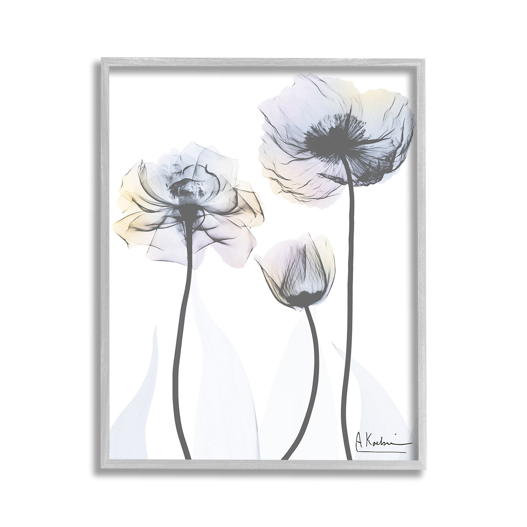 Stupell Industries Poppy Flower Trio Botanical & Floral Photography Gray Framed Art Print Wall Art, 11 x 14