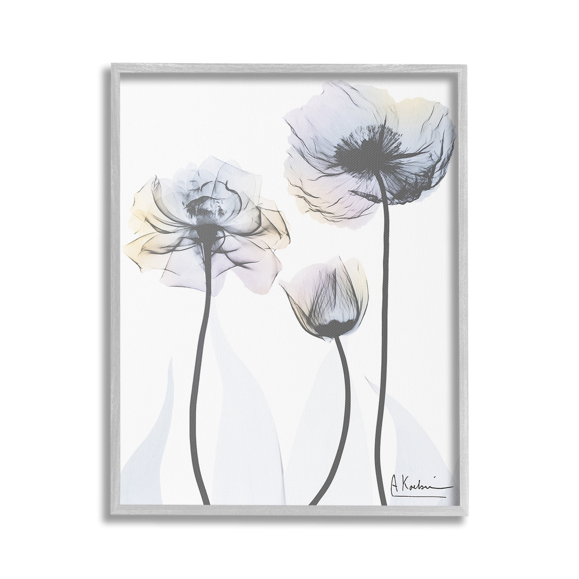 Stupell Industries Poppy Flower Trio Botanical & Floral Photography Gray Framed Art Print Wall Art, 16 x 20