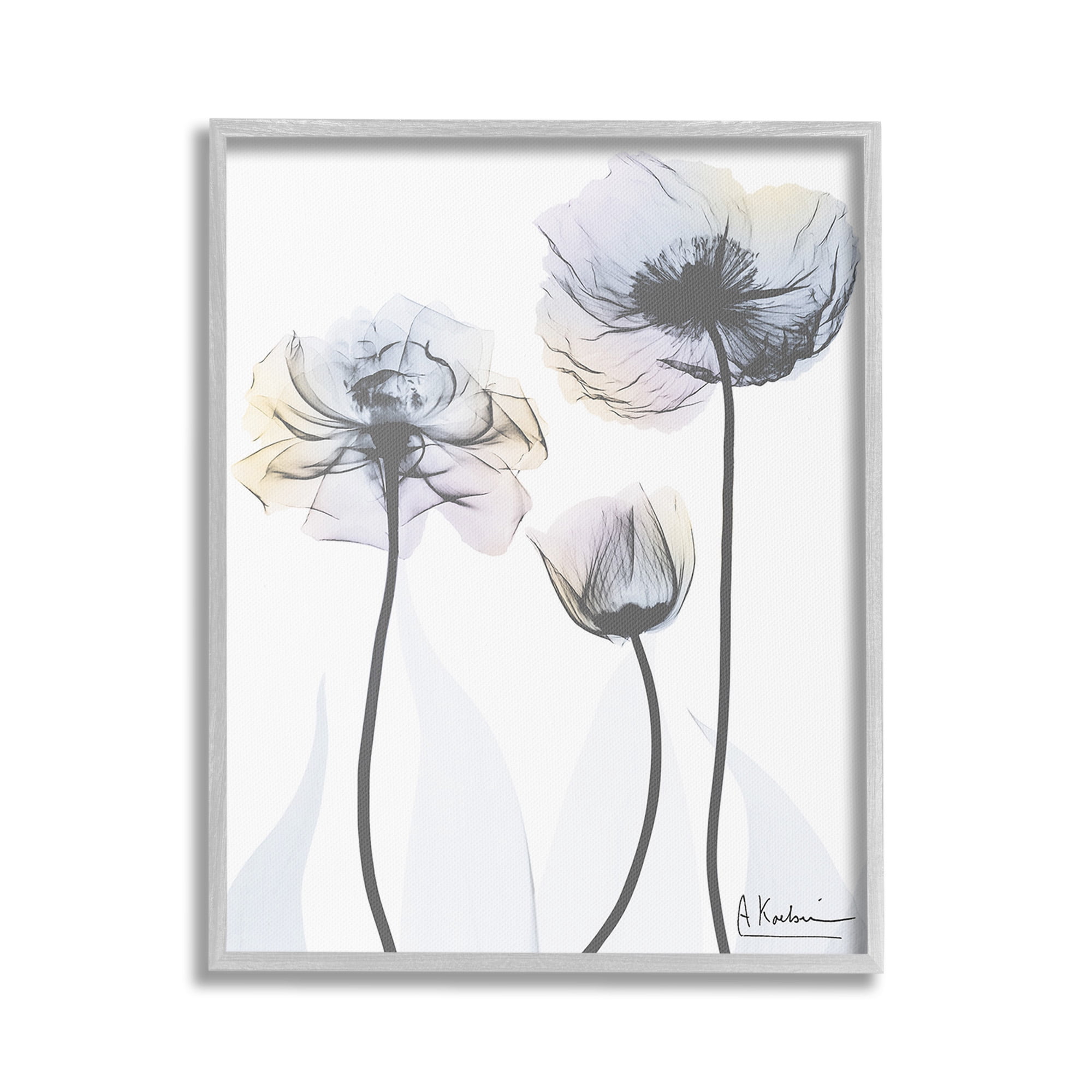 Stupell Industries Poppy Flower Trio Botanical & Floral Photography Gray Framed Art Print Wall Art, 24 x 30