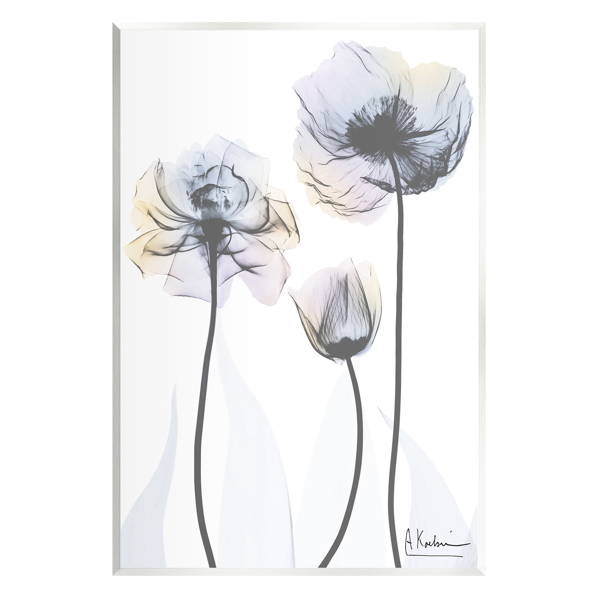 Stupell Industries Poppy Flower Trio Botanical & Floral Photography Unframed Art Print Wall Art, 13 x 19