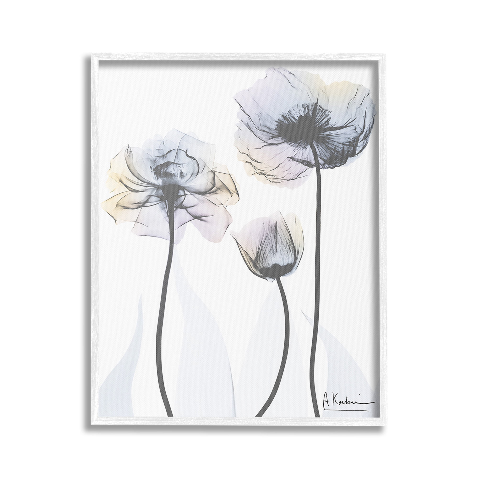 Stupell Industries Poppy Flower Trio Botanical & Floral Photography White Framed Art Print Wall Art, 24 x 30