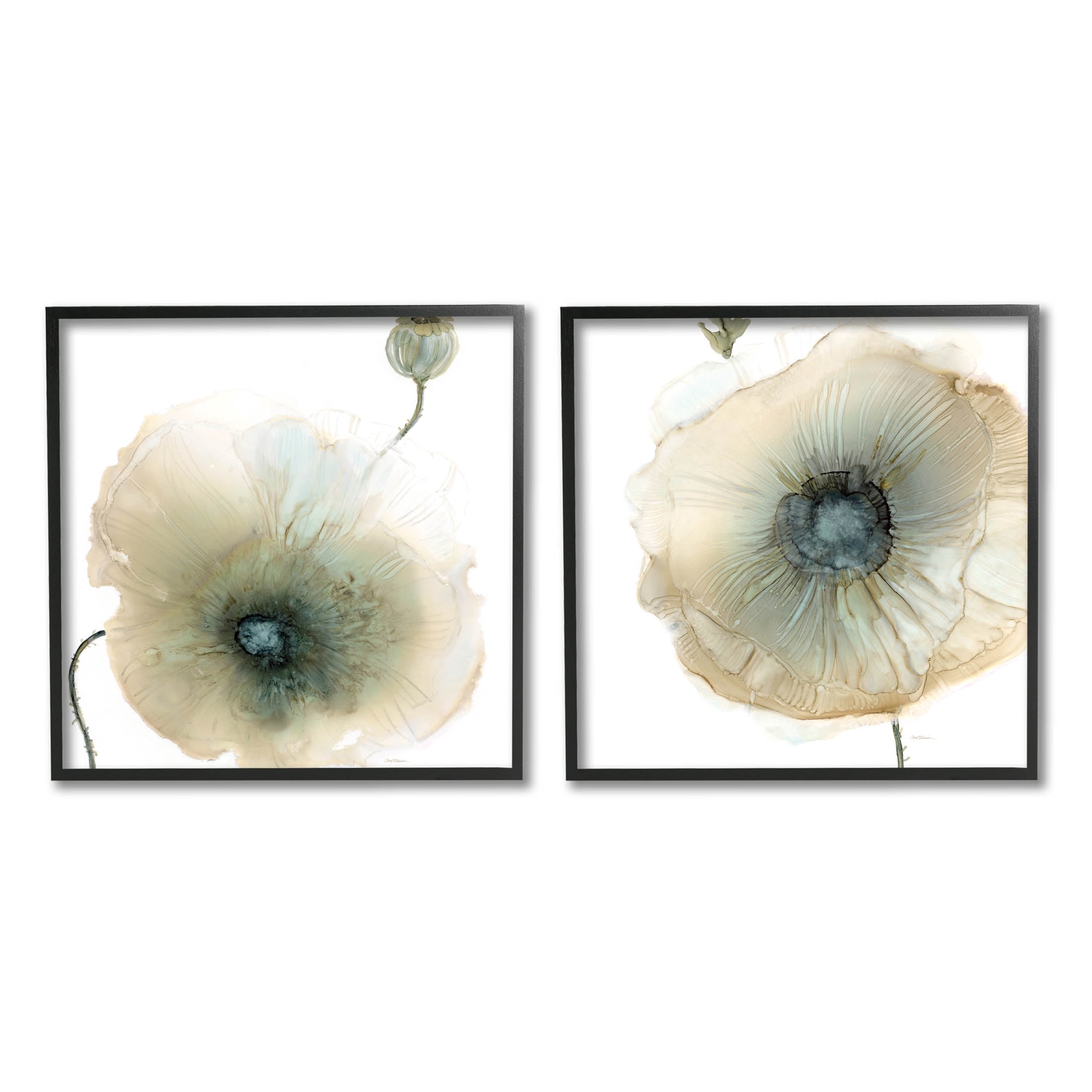 Stupell Industries Poppy Flowers Modern Watercolor Graphic Art Black Framed Art Print Wall Art, Set of 2, Design by Carol Robinson