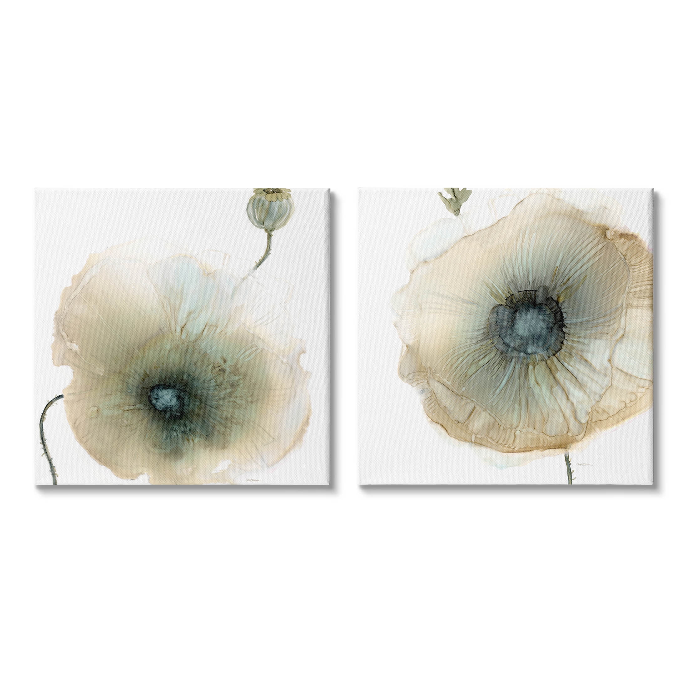 Stupell Industries Poppy Flowers Modern Watercolor Graphic Art Gallery Wrapped Canvas Print Wall Art, Set of 2, Design by Carol Robinson