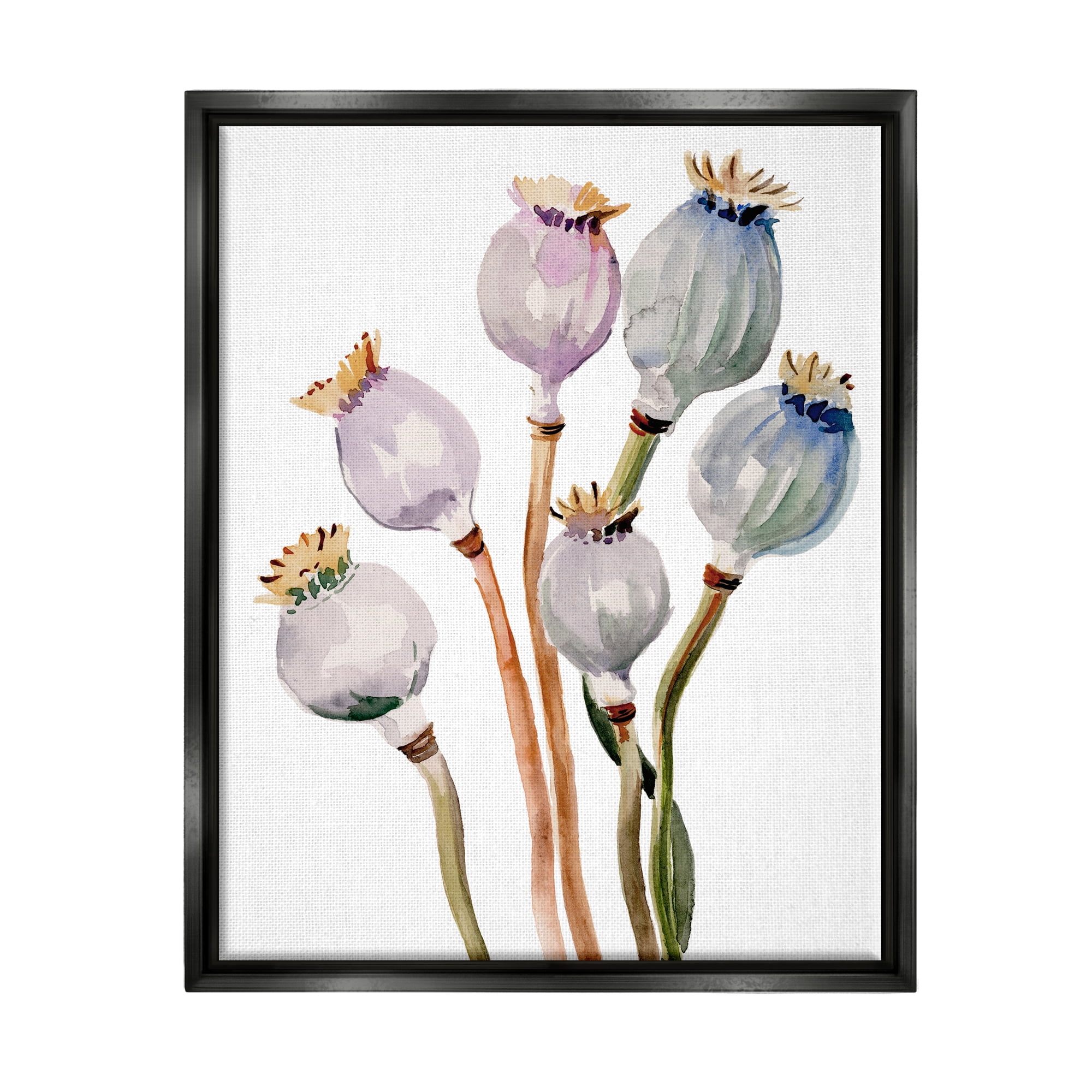 Stupell Industries Poppy Pods Watercolor Botanicals Botanical & Floral Painting Black Floater Framed Art Print Wall Art