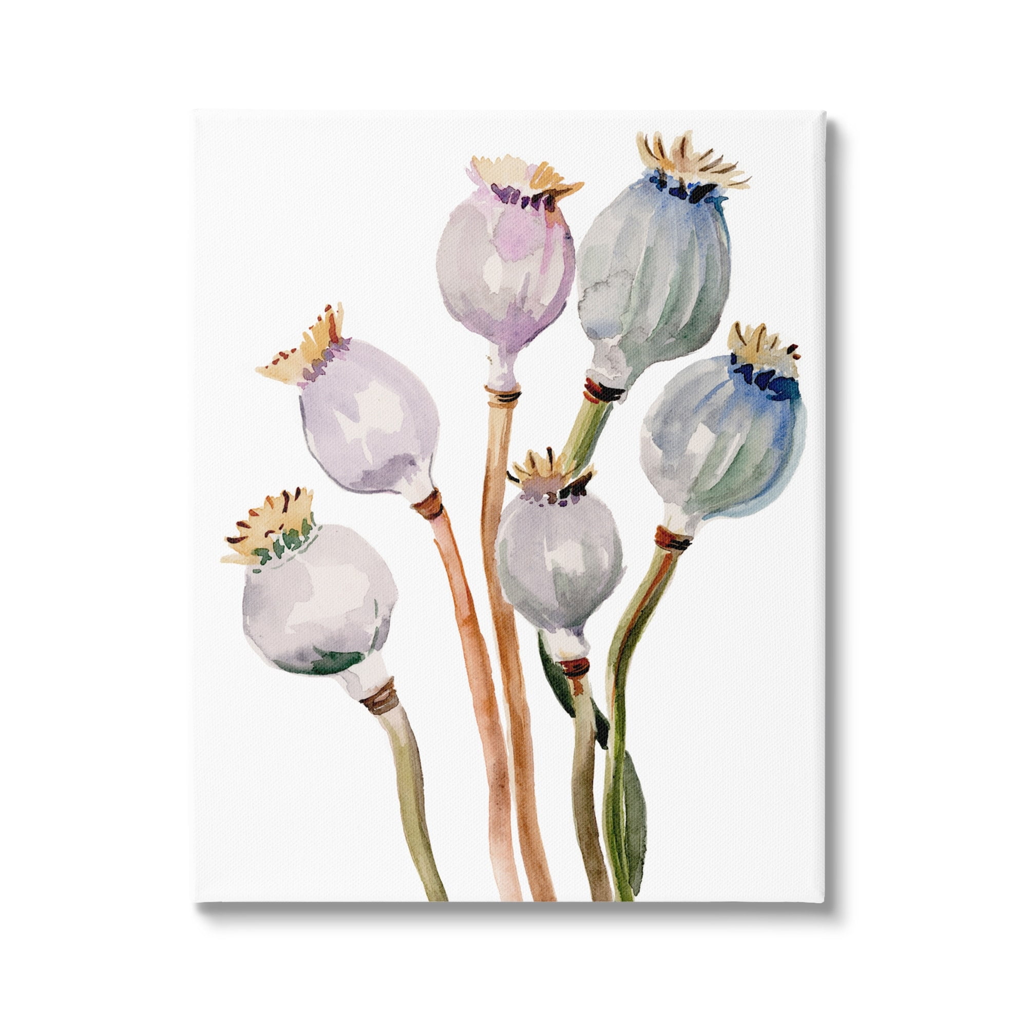 Stupell Industries Poppy Pods Watercolor Botanicals Botanical & Floral Painting Gallery Wrapped Canvas Print Wall Art