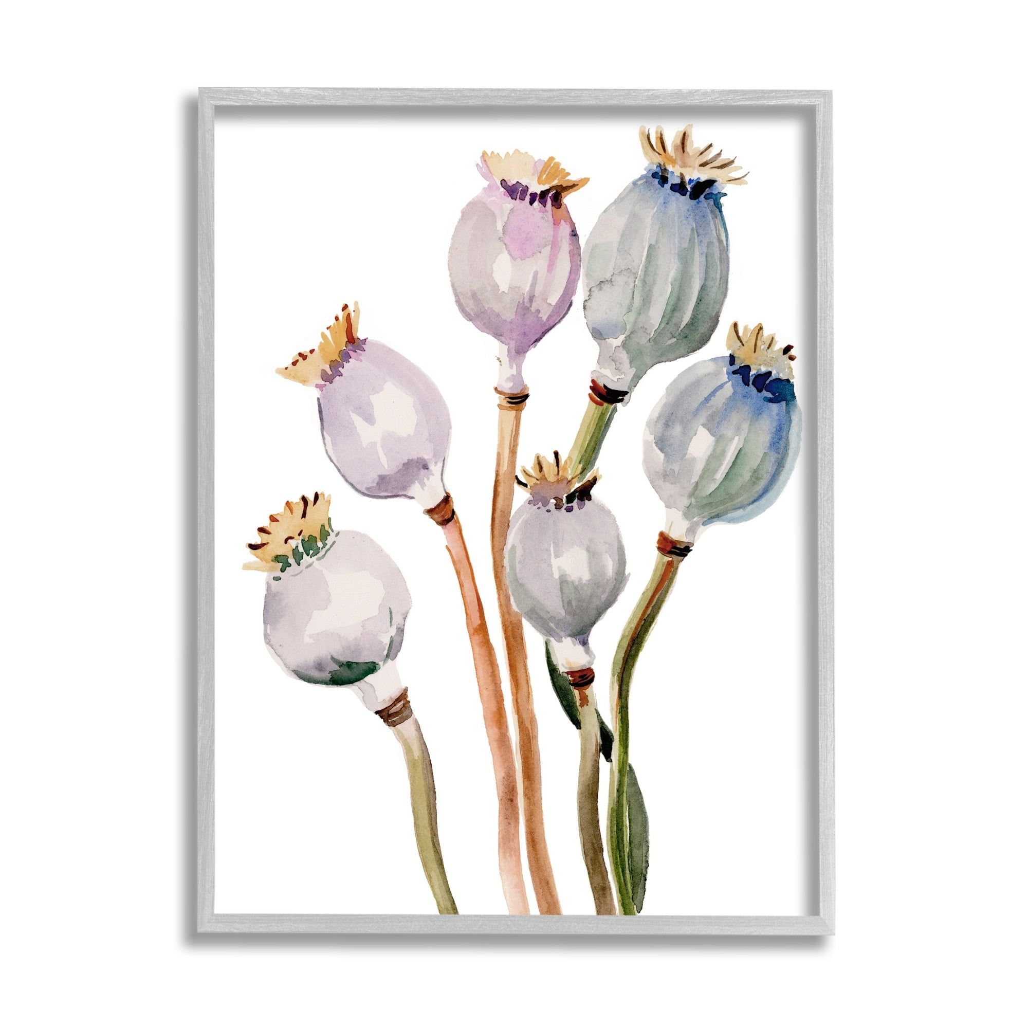 Stupell Industries Poppy Pods Watercolor Botanicals Botanical & Floral Painting Gray Framed Art Print Wall Art