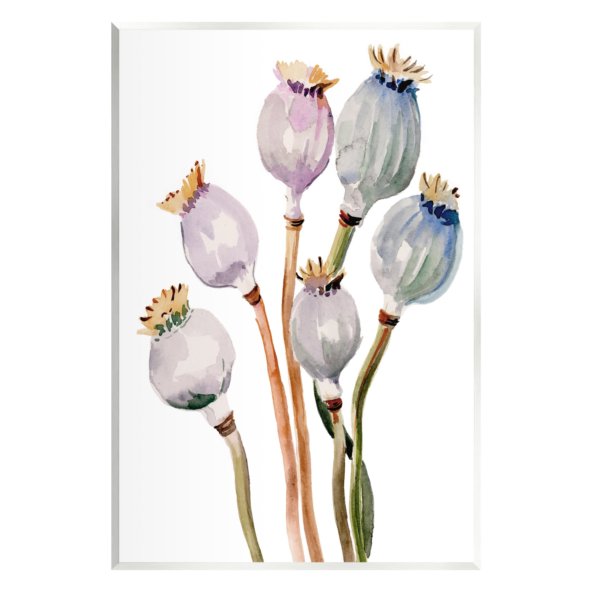 Stupell Industries Poppy Pods Watercolor Botanicals Botanical & Floral Painting Unframed Art Print Wall Art