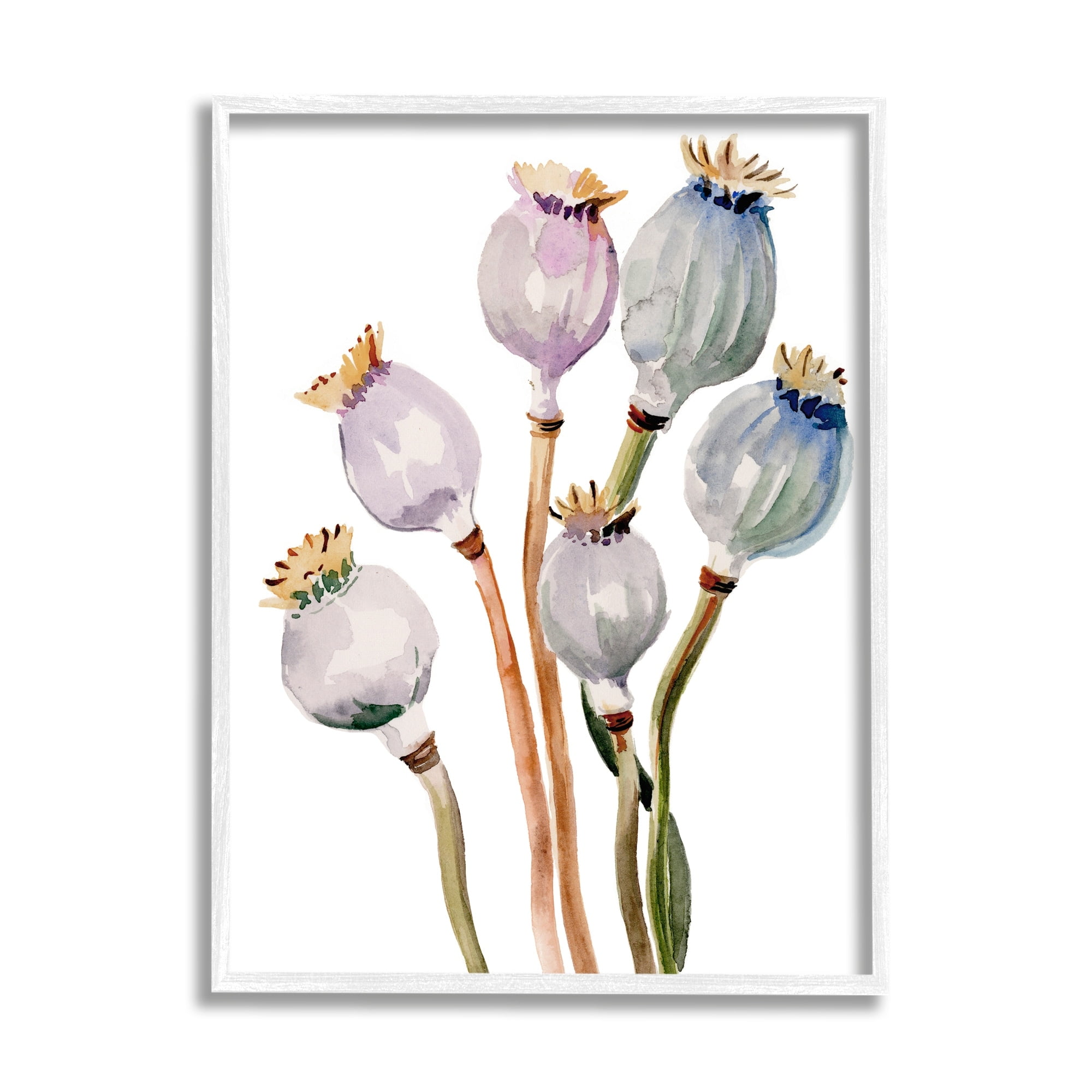 Stupell Industries Poppy Pods Watercolor Botanicals Botanical & Floral Painting White Framed Art Print Wall Art